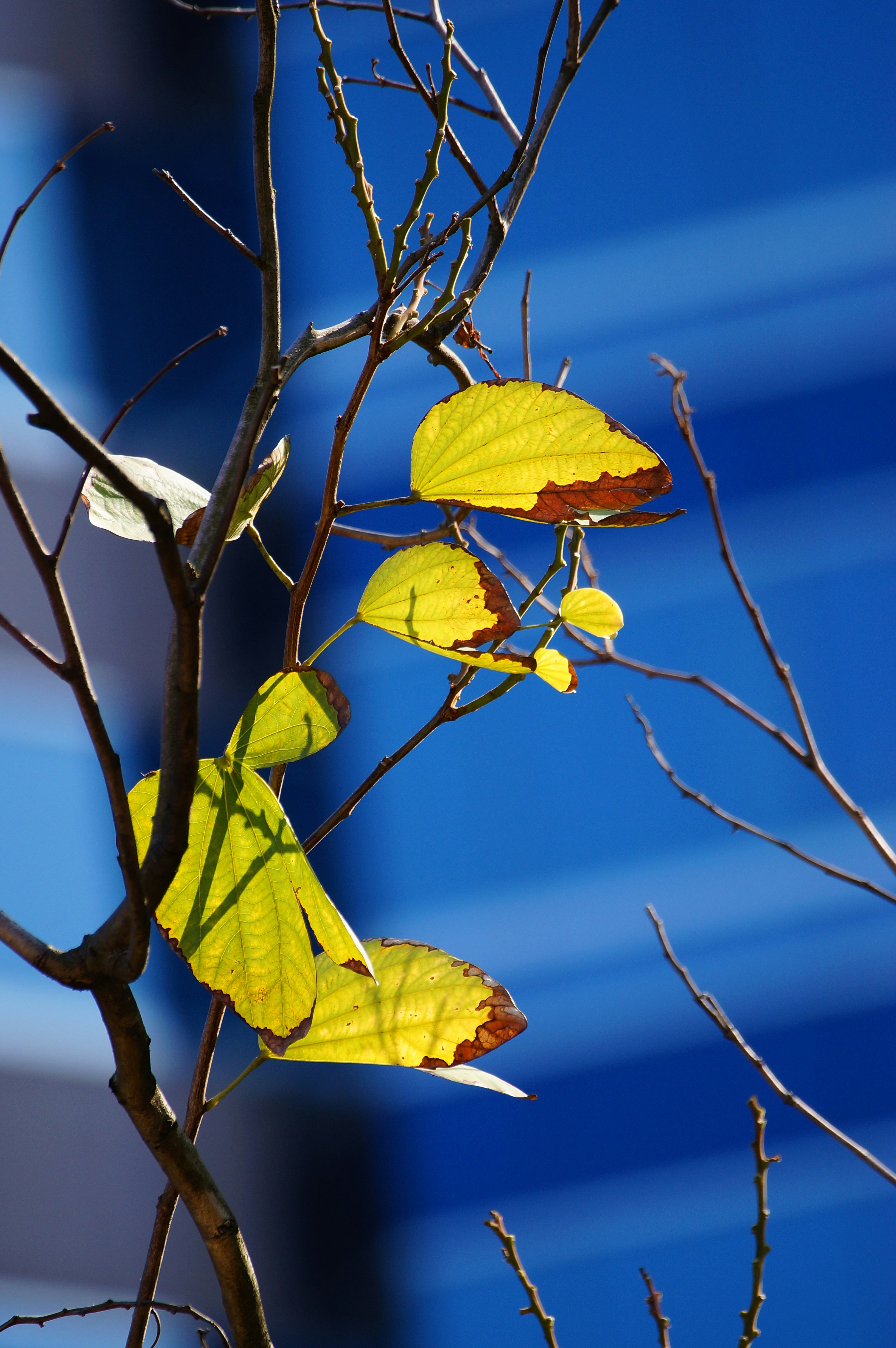 Free Unsplash photo from ken chan