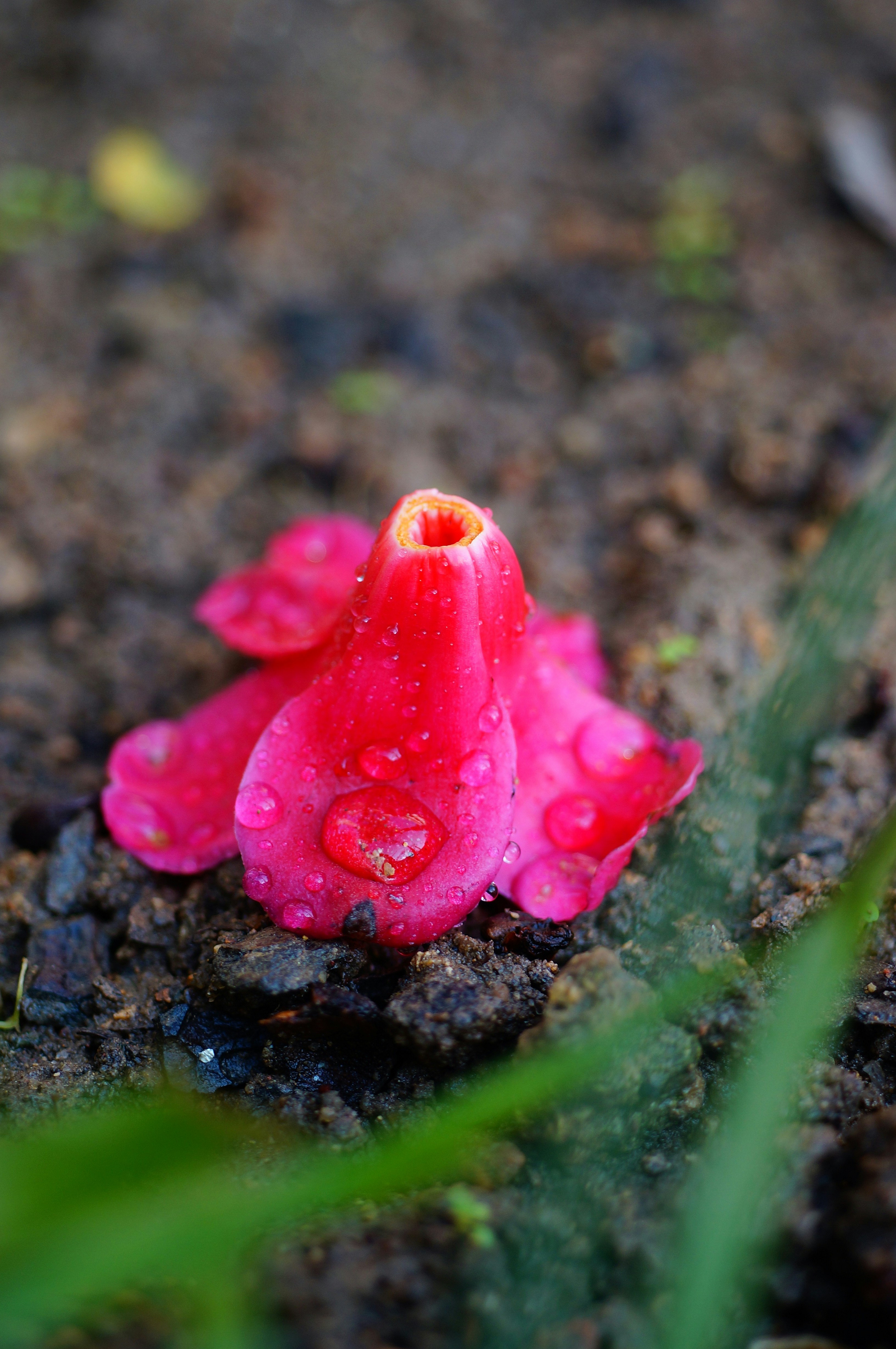 Free Unsplash photo from ken chan