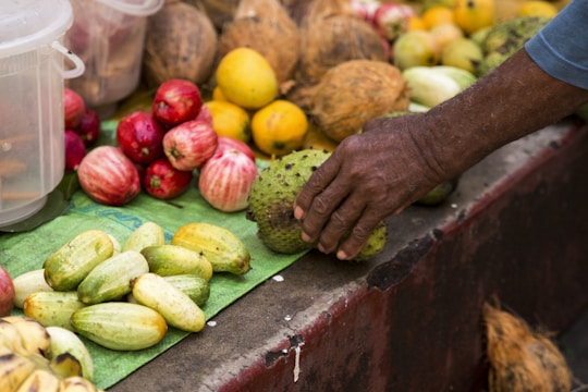 A display of various tropical fruits includes green and yellow cucumbers, red apples, yellow lemons, and coconuts. A hand is selecting one of the fruits, indicating an interaction at a market or fruit stall.