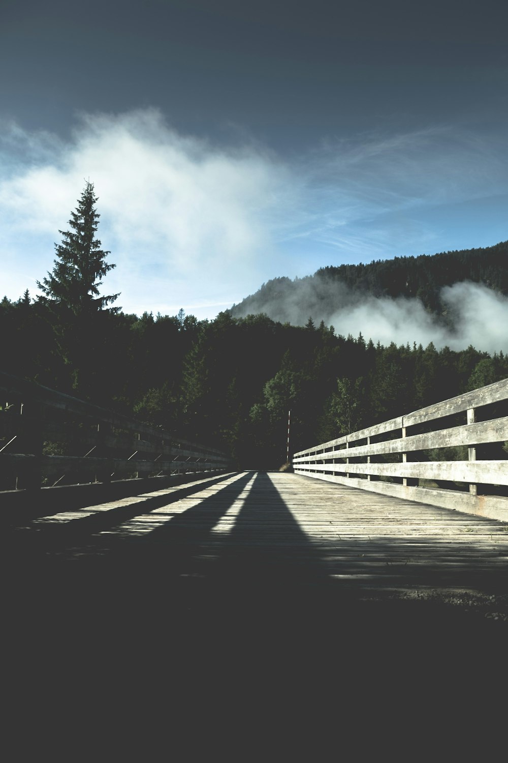 gray concrete bridge under white cloudy sky during daytime photo