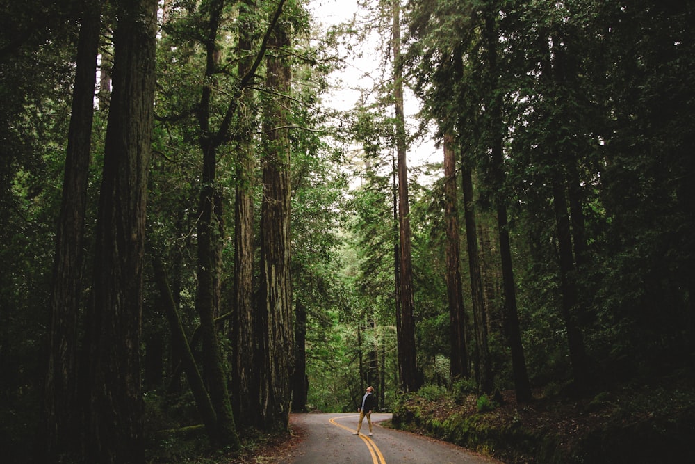 Persona in piedi sulla strada di cemento grigio tra gli alberi ad alto fusto durante la foto diurna