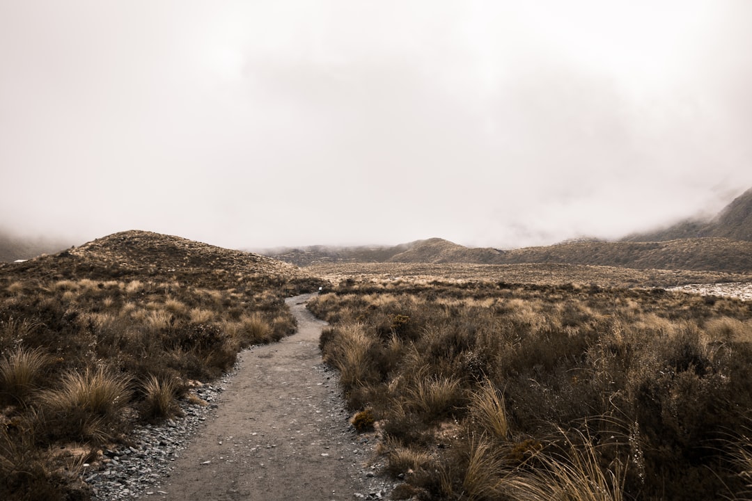 travelers stories about Hill in Tongariro Alpine Crossing, New Zealand