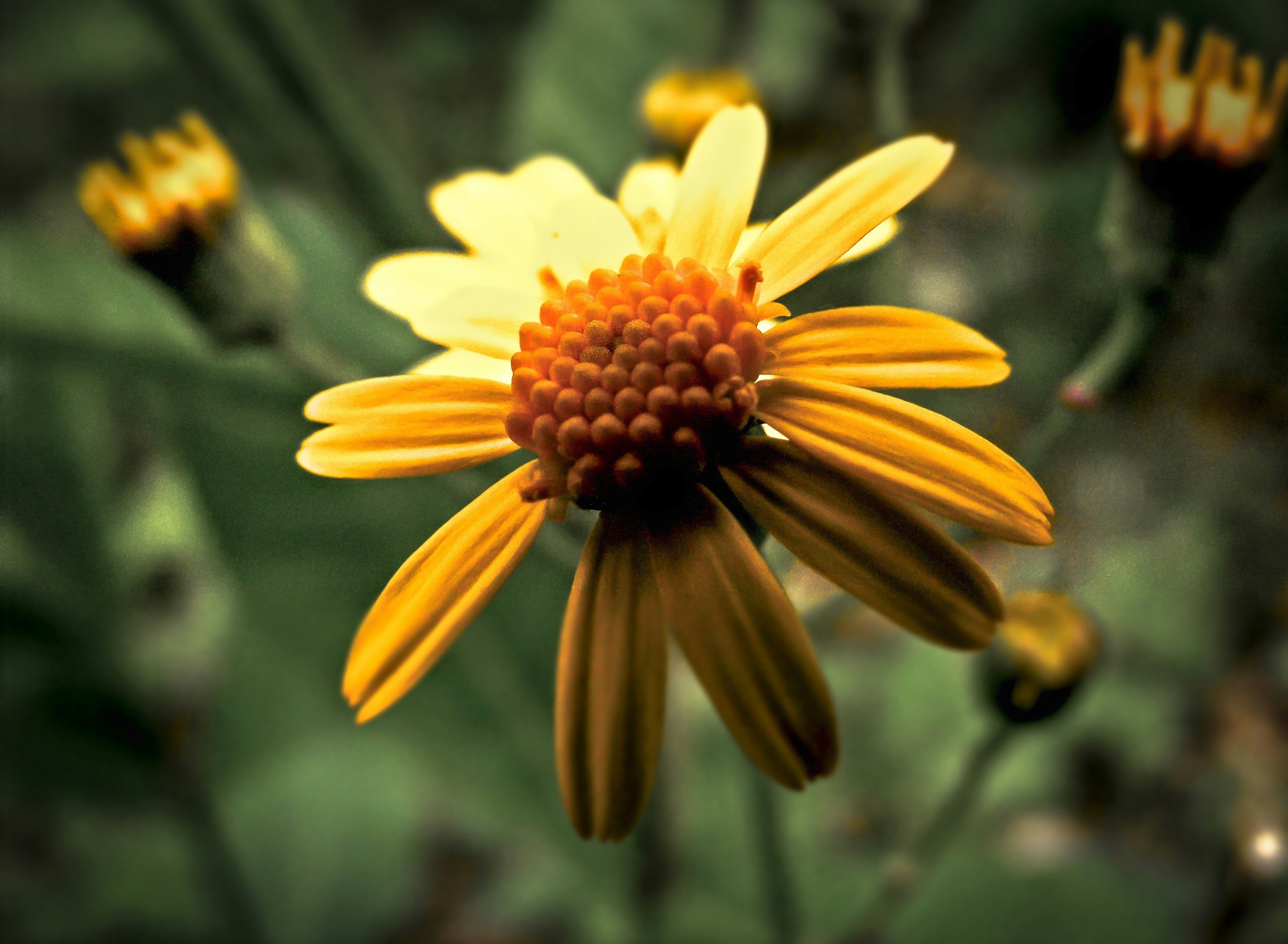 Free Unsplash photo from Emily King