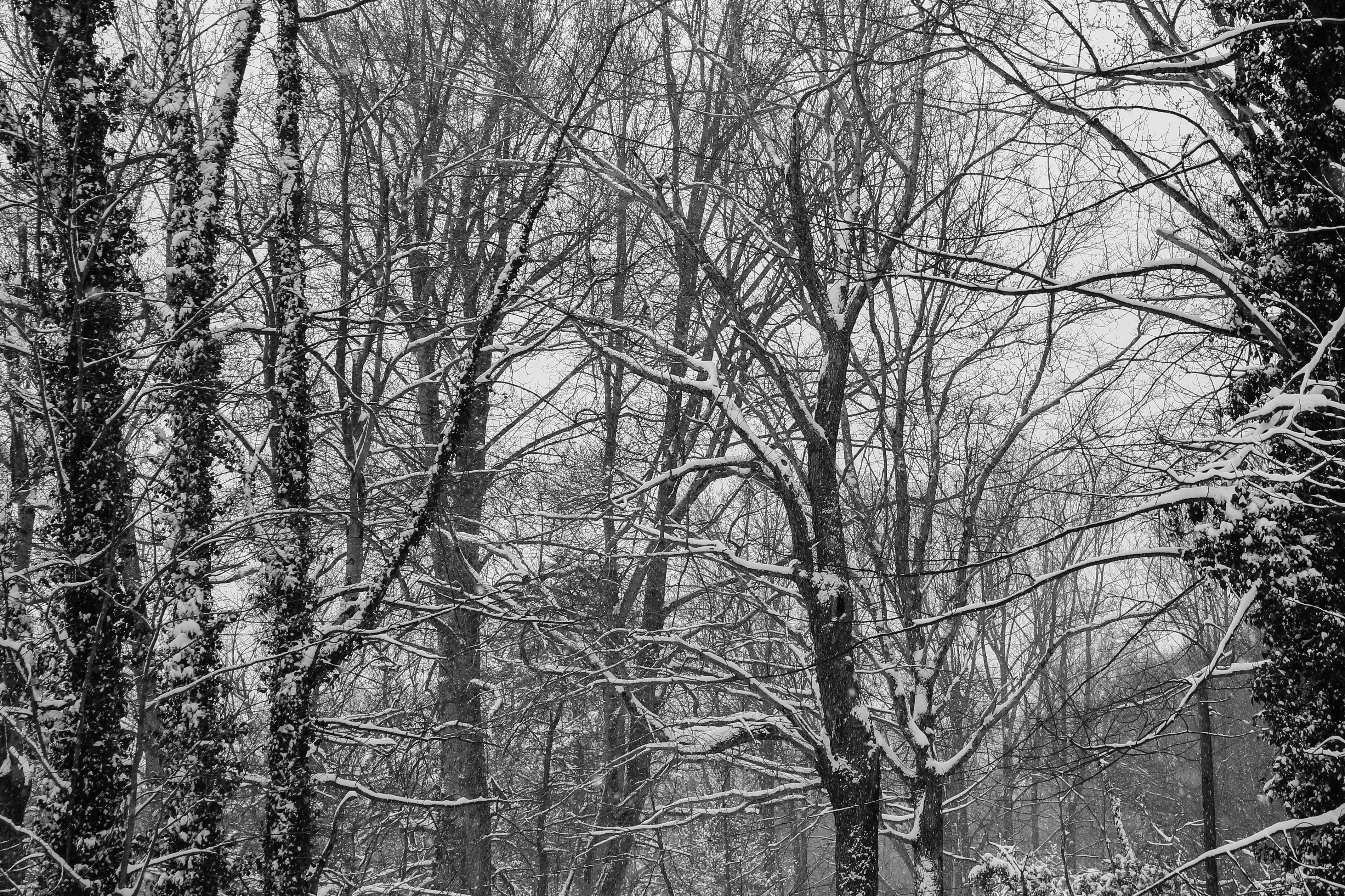 Free Unsplash photo from Emily King