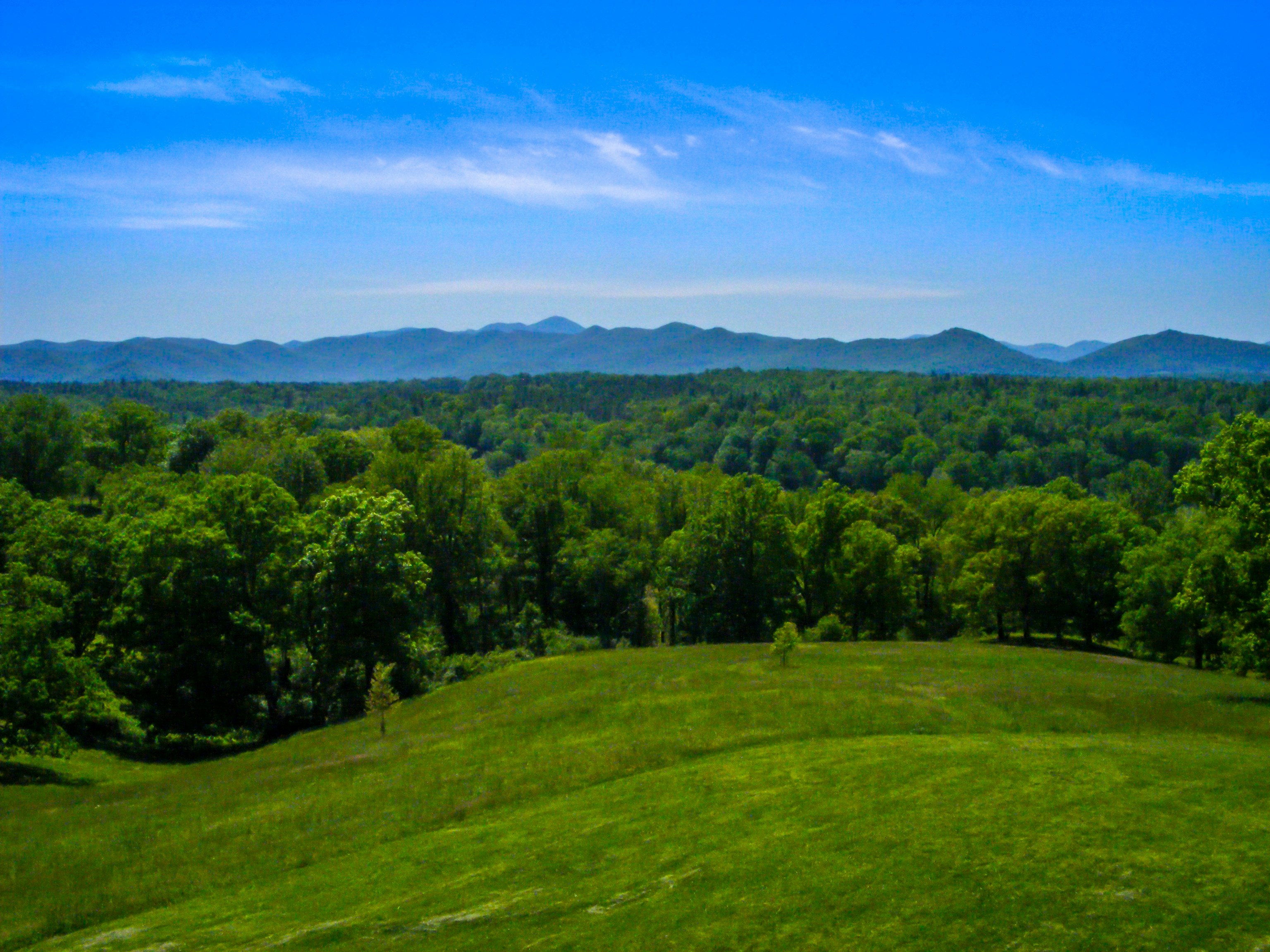 Free Unsplash photo from Emily King