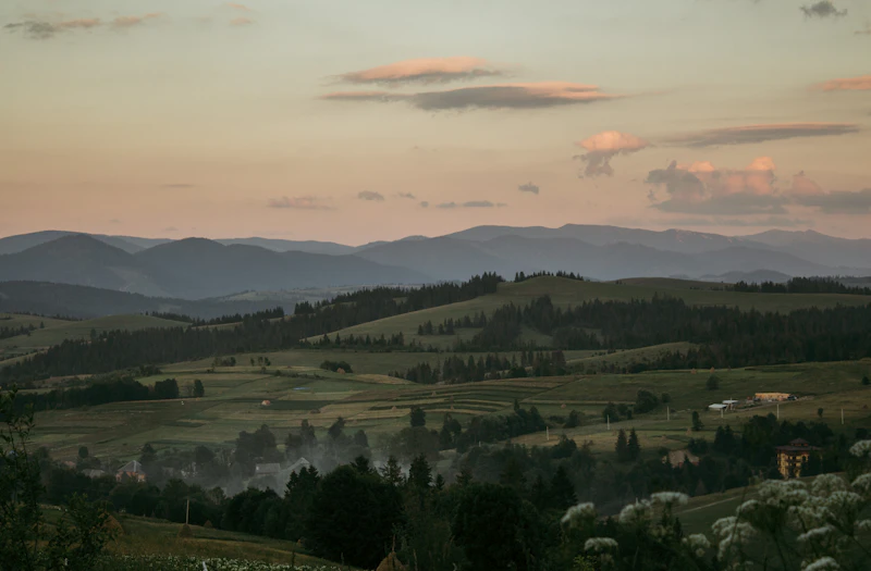 Best Pubs in Ziro: Where Locals Actually Drink