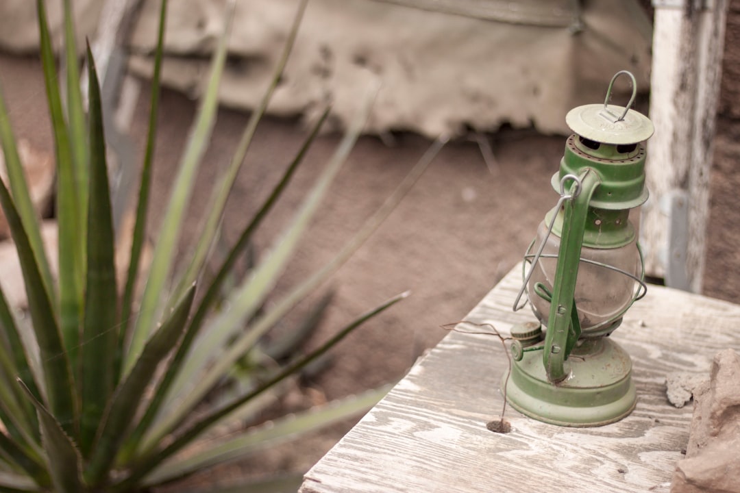 green lantern in shallow focus lens