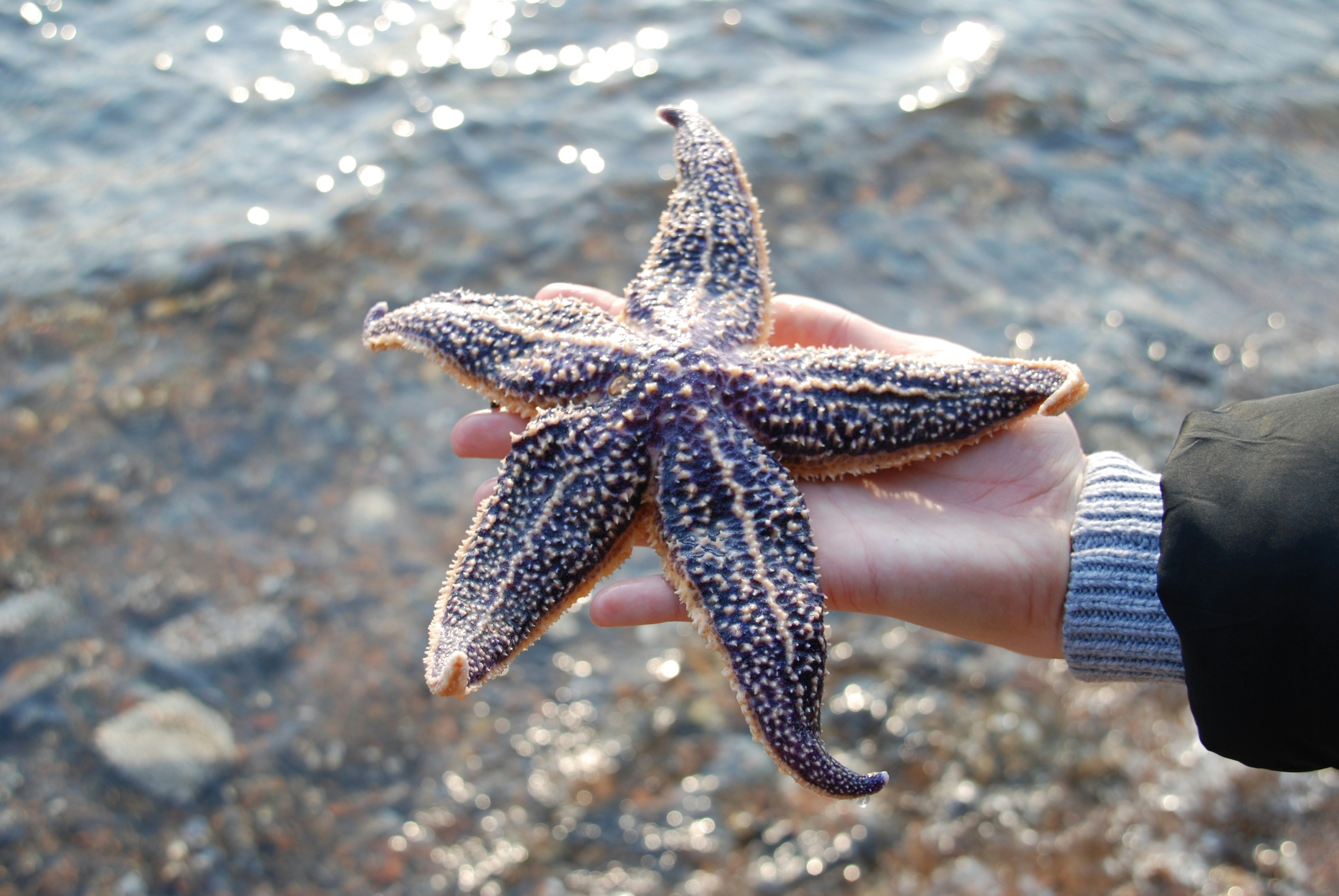 Free Unsplash photo from Ksenia Badikova