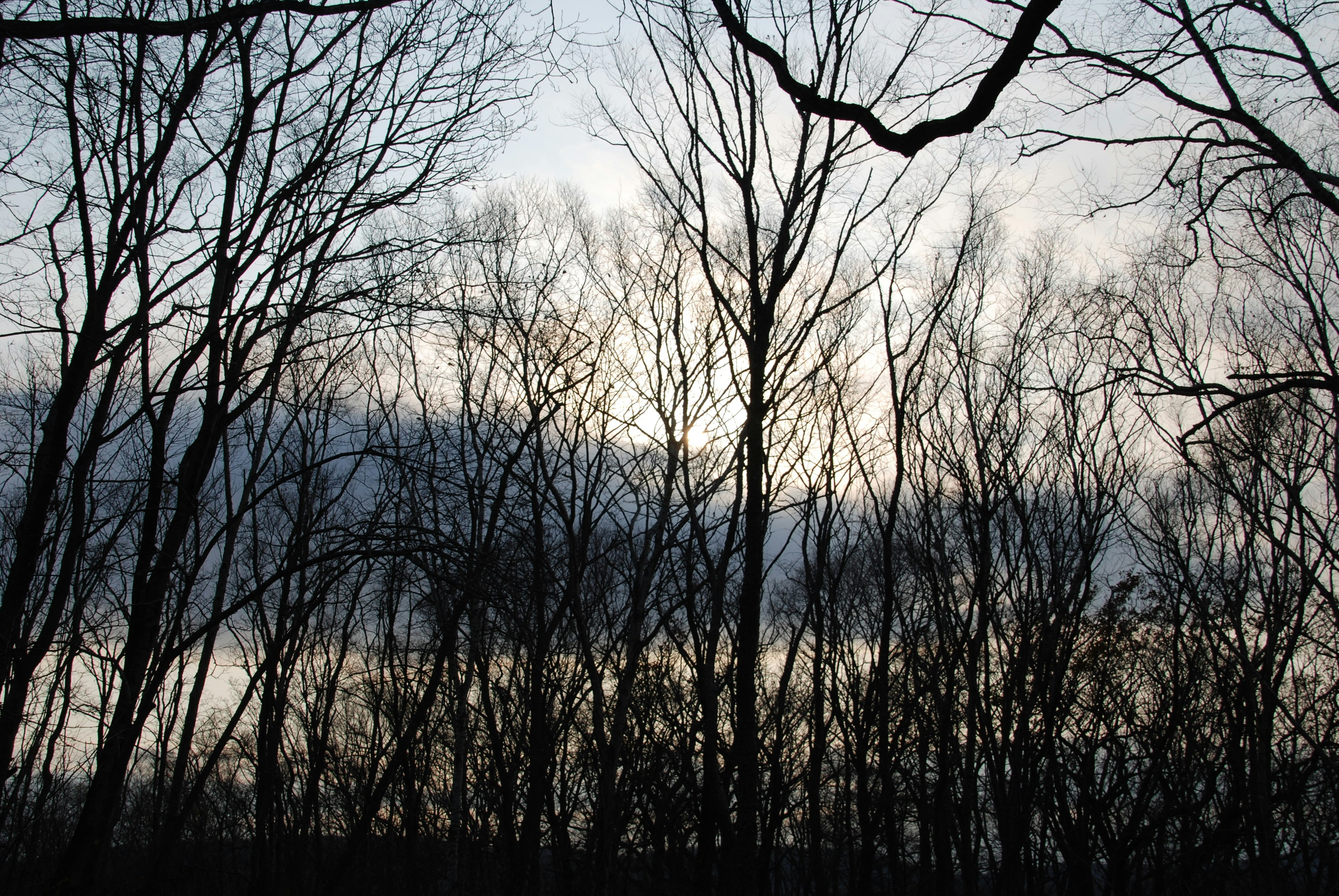 Free Unsplash photo from Ksenia Badikova