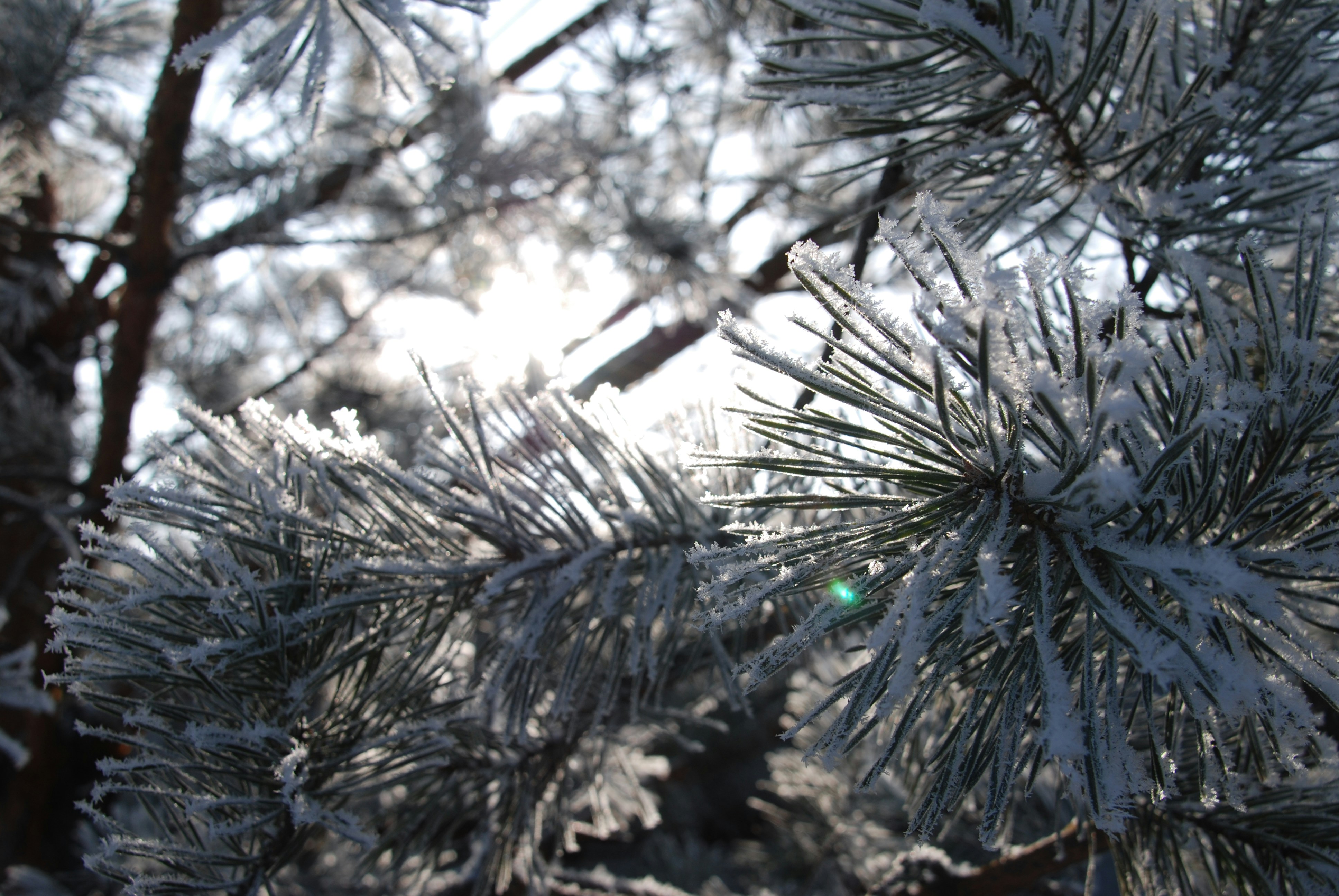 Free Unsplash photo from Ksenia Badikova