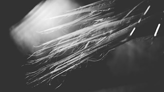 Close-up of a stylish haircut with soft lighting highlighting the texture.