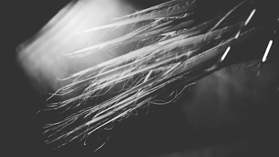 High-resolution image focusing on the texture and shine of newly grown hair strands.