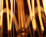 Close-up of a glowing vacuum tube with intricate internal filaments visible.