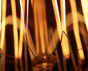 Step-by-step animation of a simple electric circuit lighting a bulb