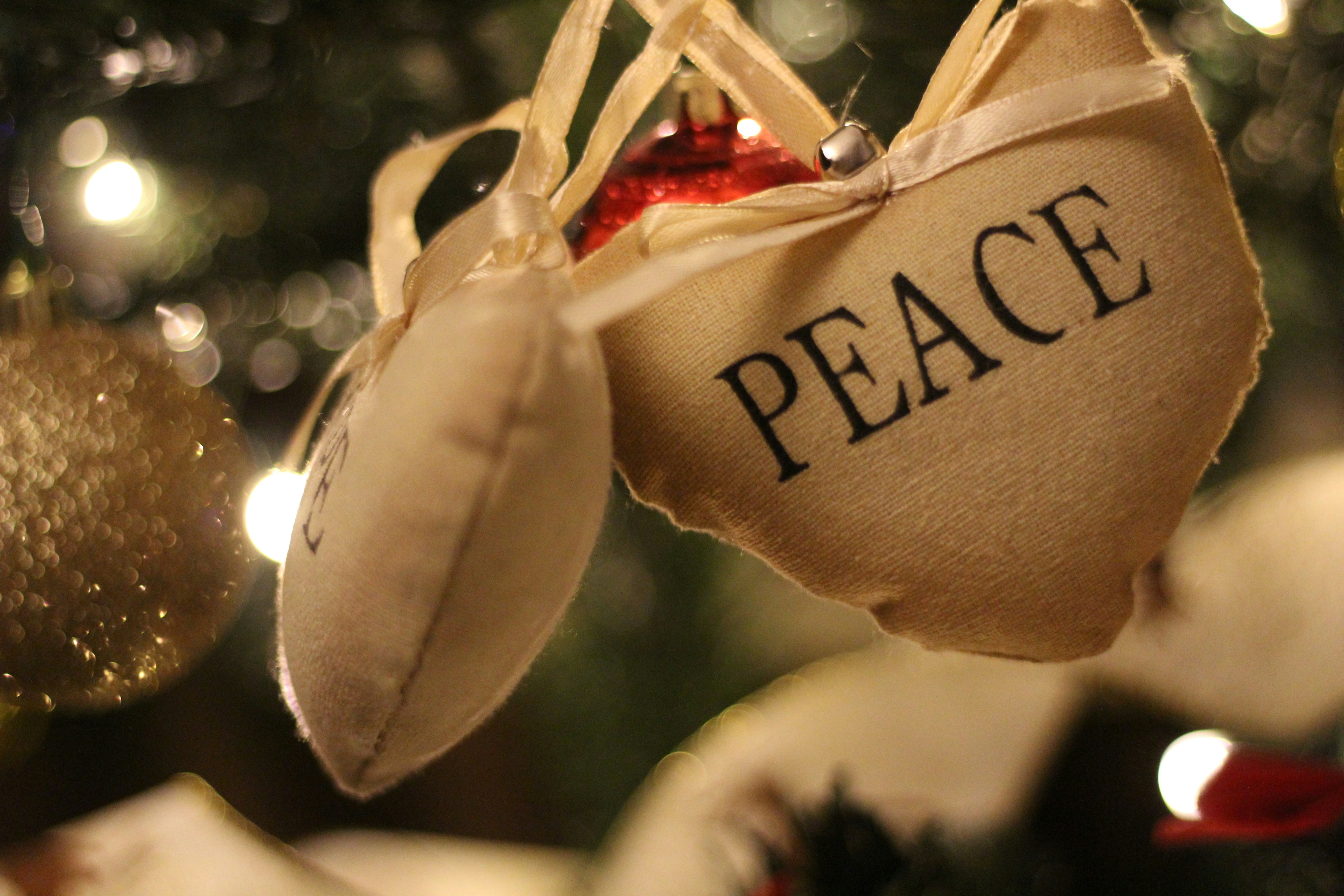 Free Unsplash photo from Alexandru Stanciu-Ciucur