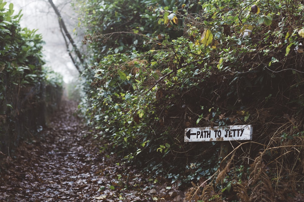 path to jerry signage near green leaf plants