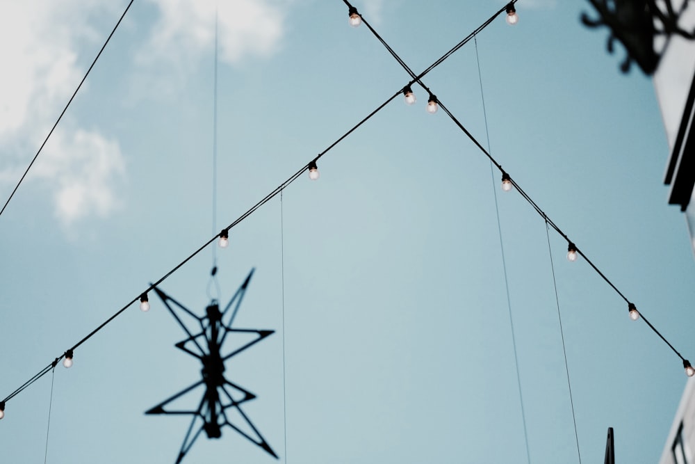 black hanging decor and string lights