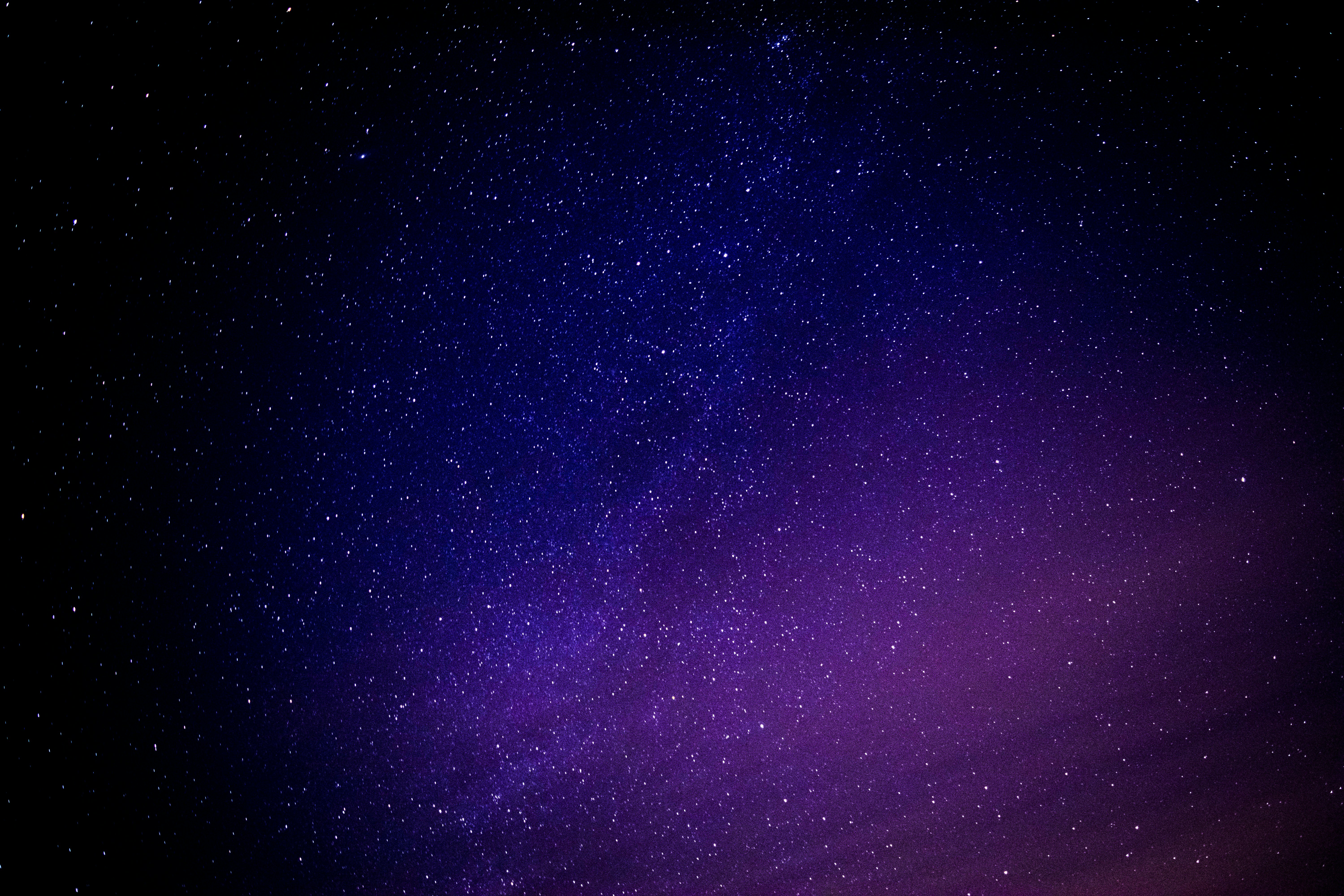 游戏dark攻略_dark bestiary攻略