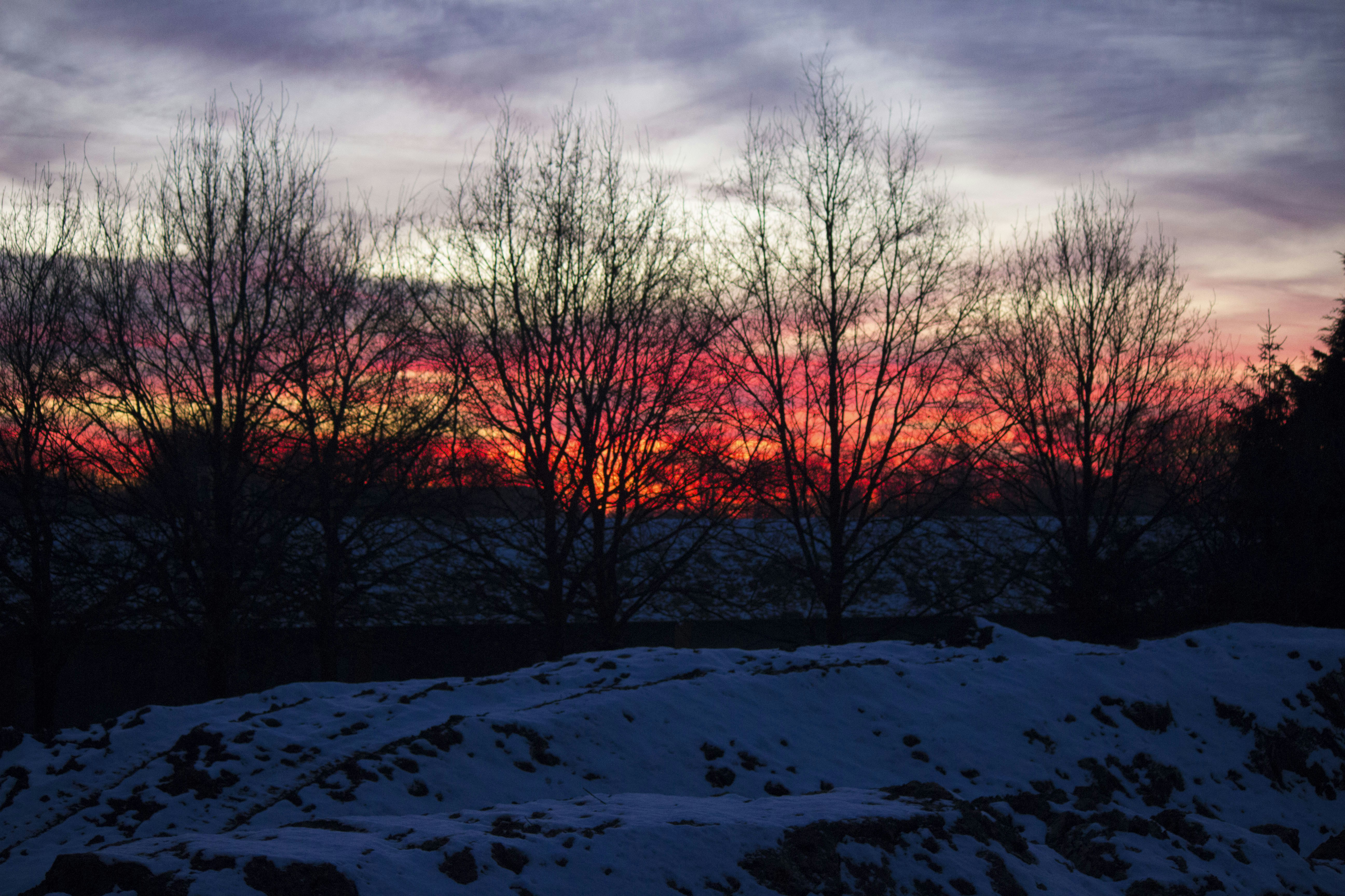 Free Unsplash photo from Koen van Ginkel