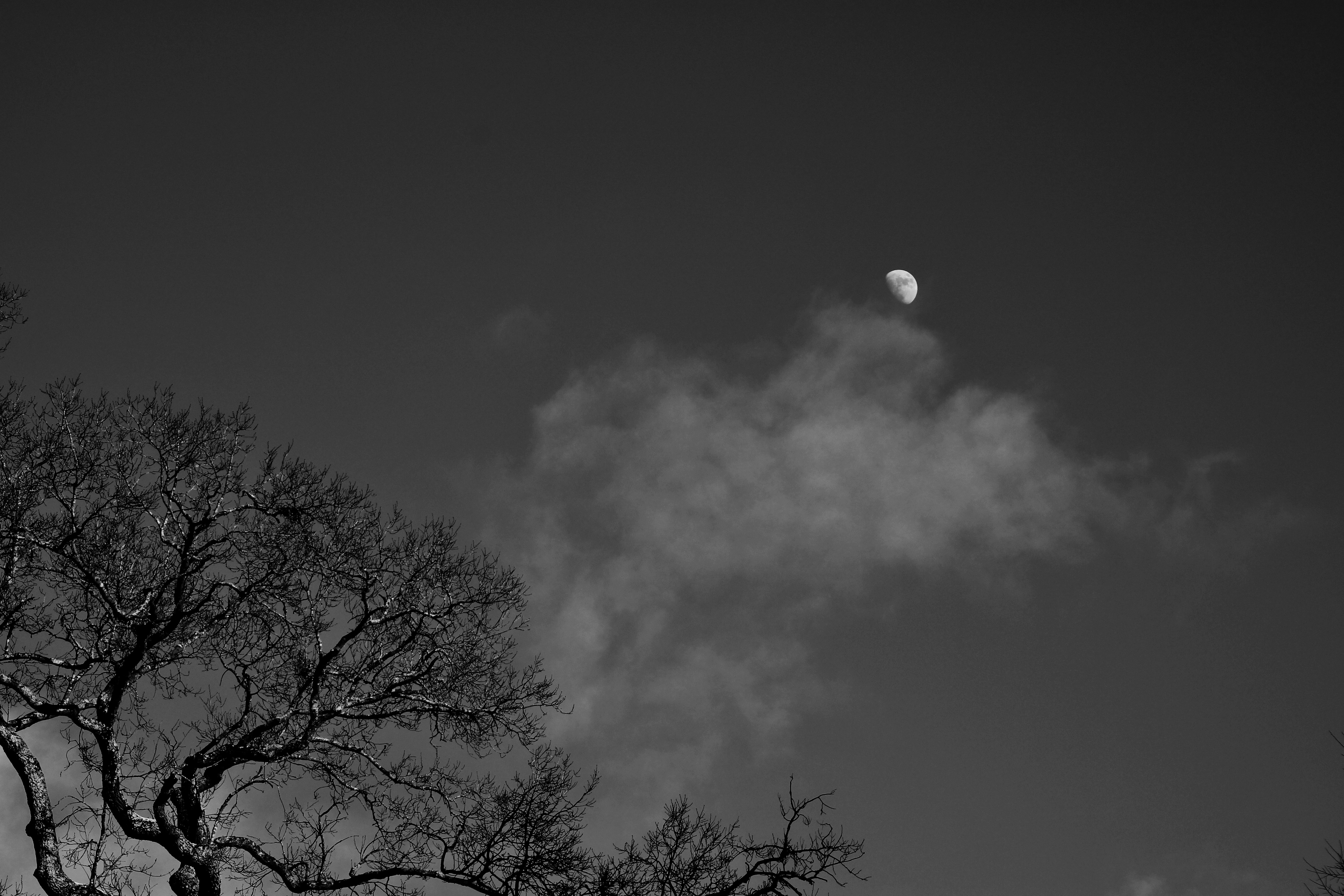 Free Unsplash photo from Caroline Aldridge