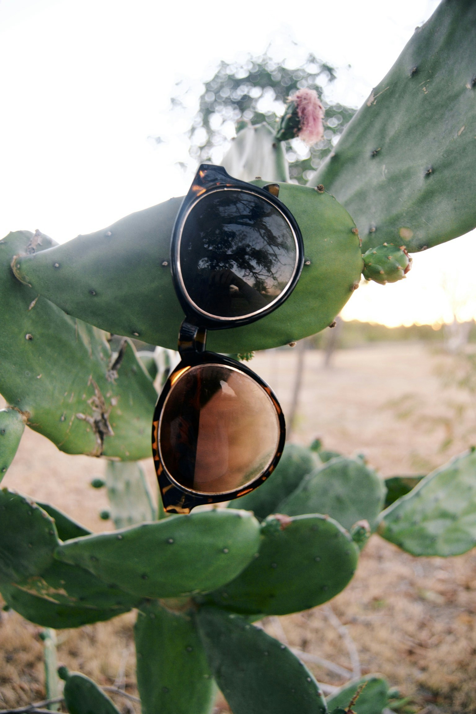 Free Unsplash photo from Amy Humphries