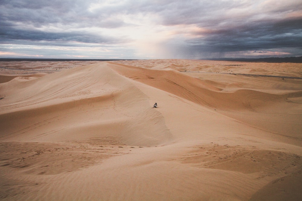 砂漠の写真