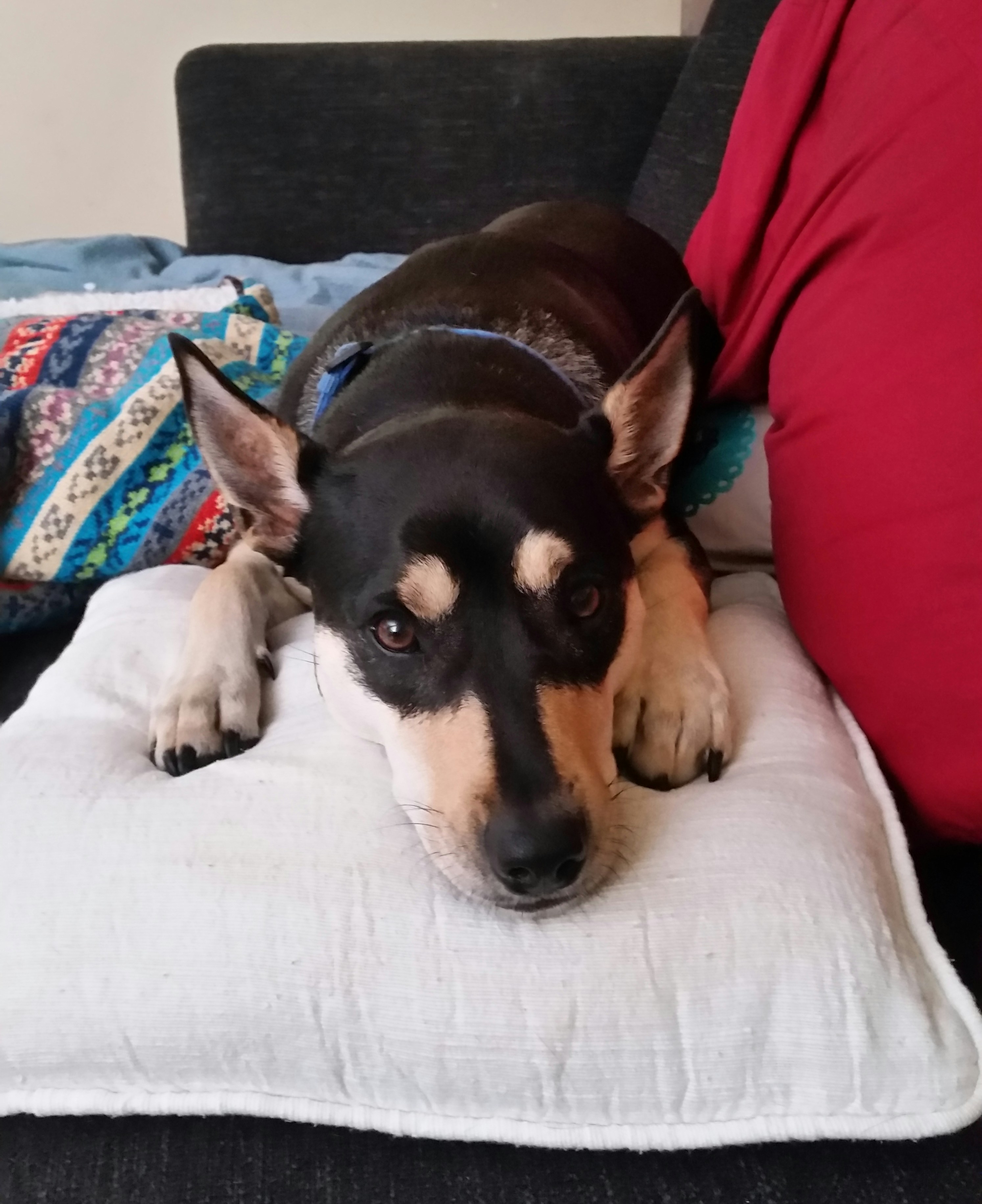 Free Unsplash photo from Ben Brearley