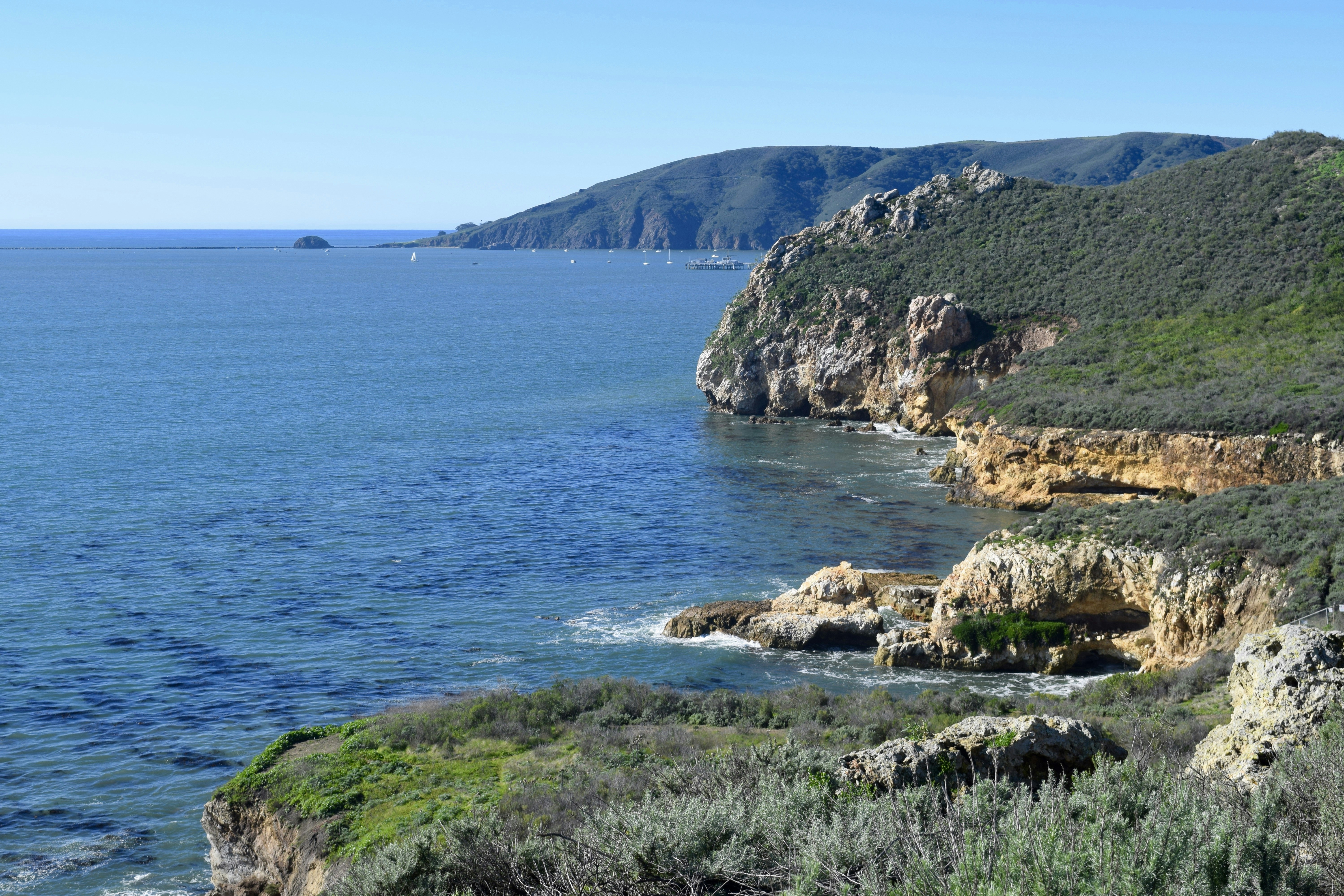 Free Unsplash photo from Obi Herrera