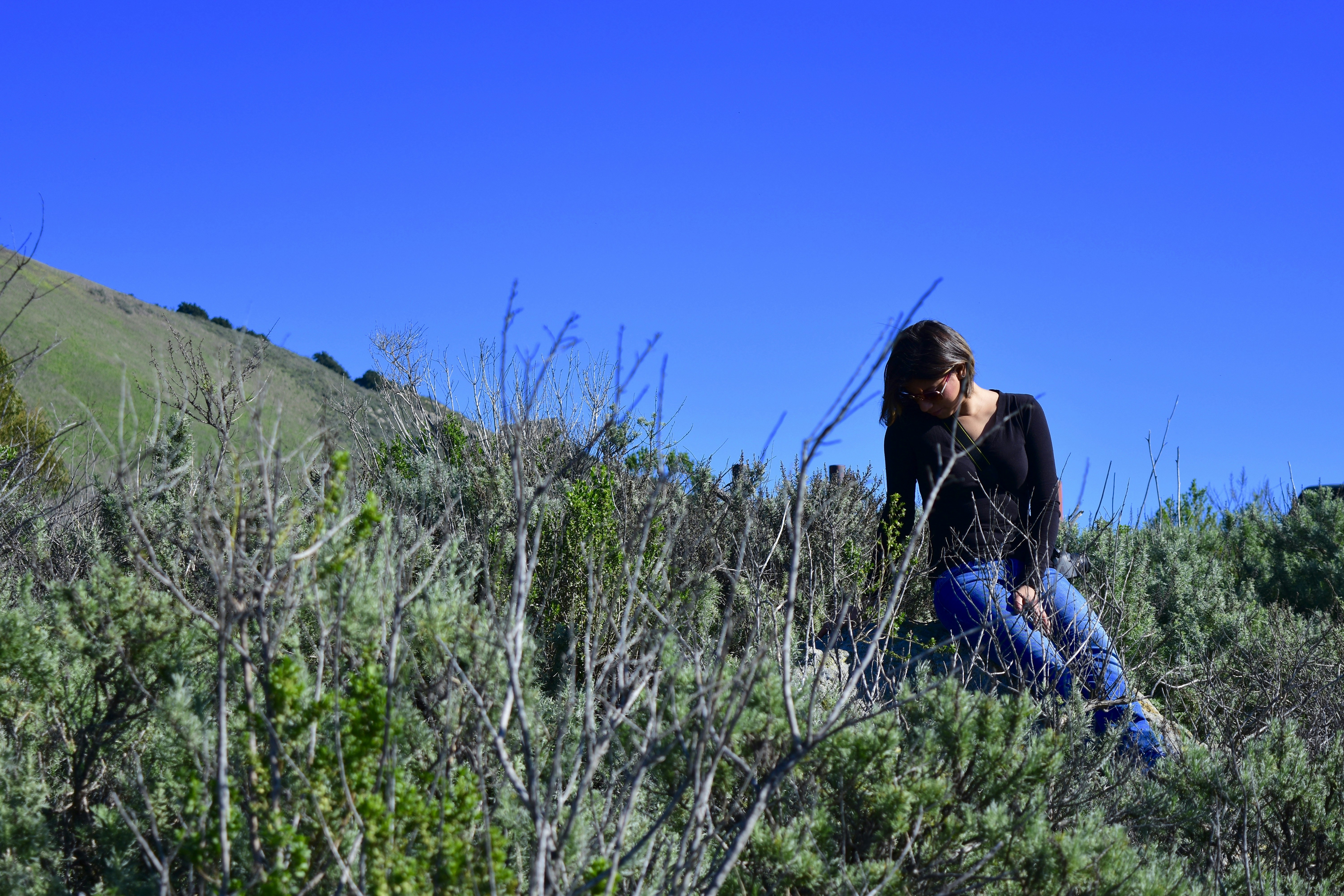 Free Unsplash photo from Obi Herrera