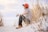 man sitting on sand with wheat looking right during daytime