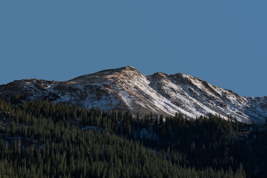 gray and white mountain near green trees under blue sky in Aspen United States