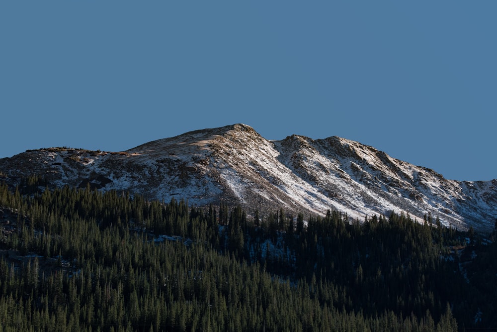 gray and white mountain near green trees under blue sky