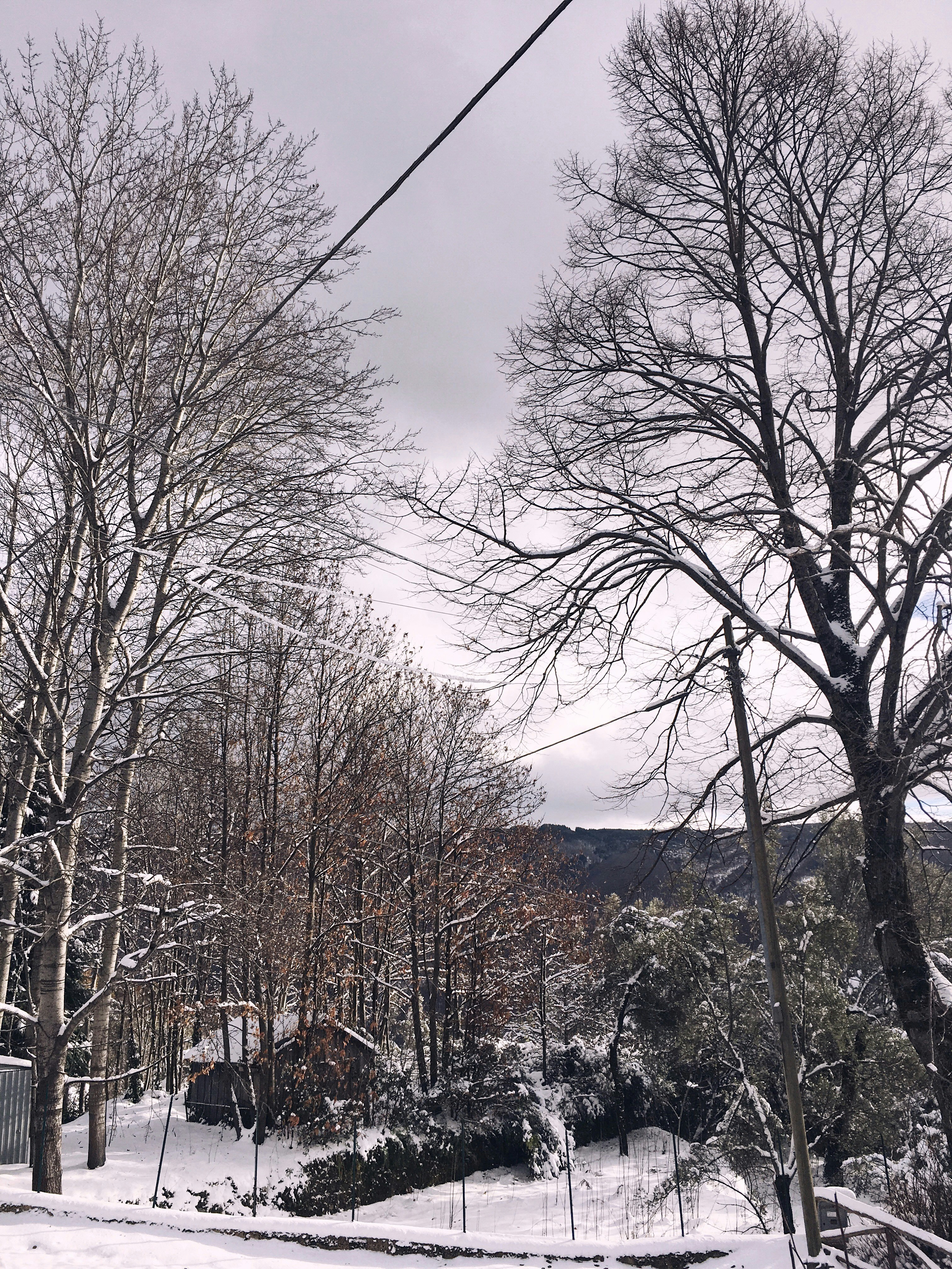 Free Unsplash photo from Sara Aiello