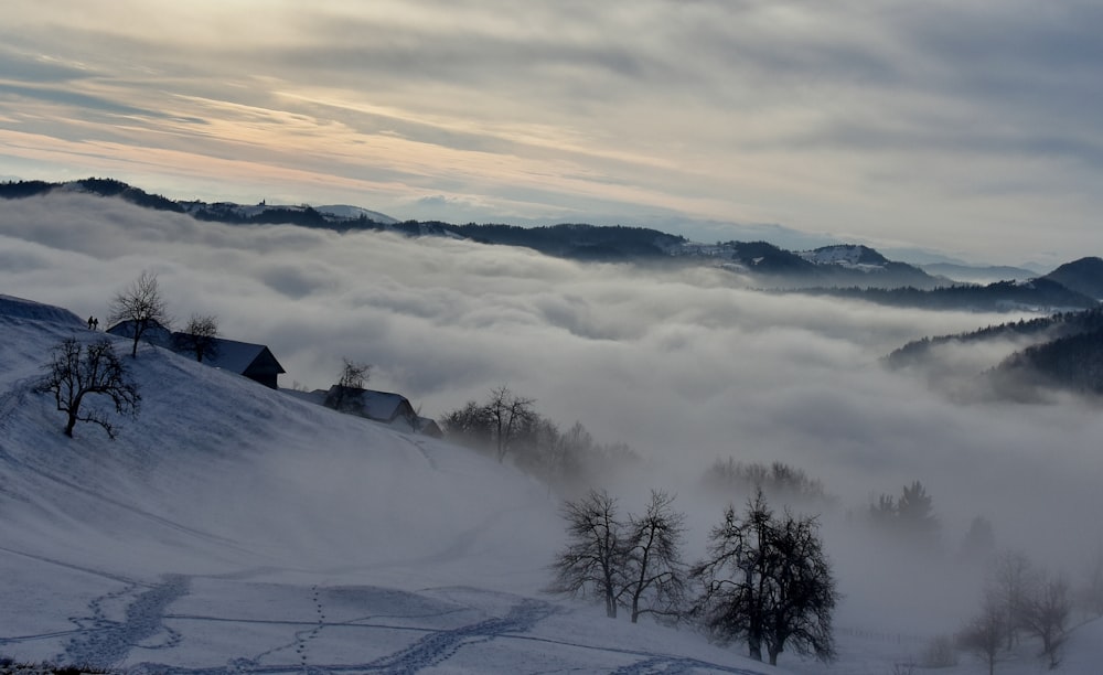 雪をかぶった山々の写真