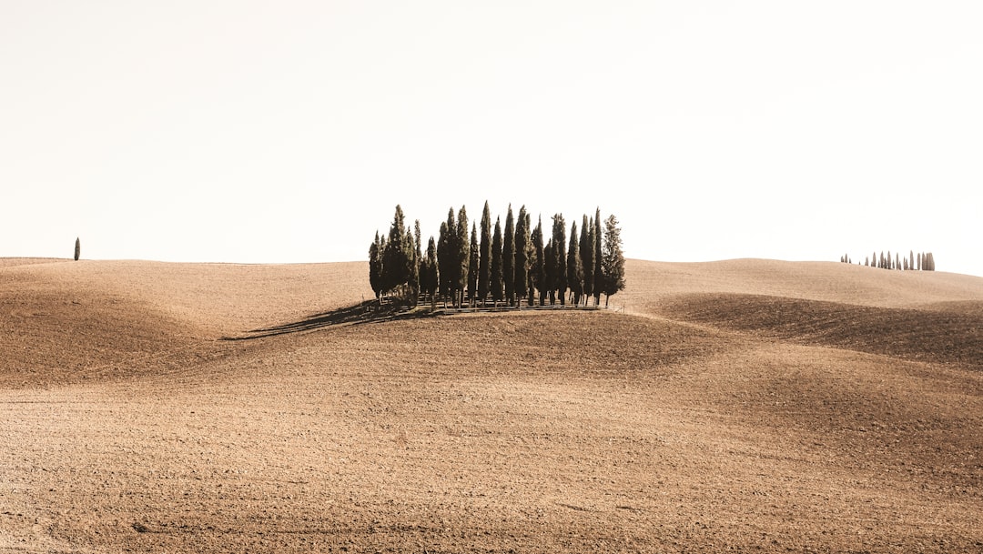 Desert photo spot Val d'Orcia Monte Subasio