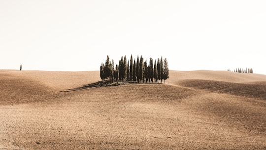 Val d'Orcia things to do in Province of Siena