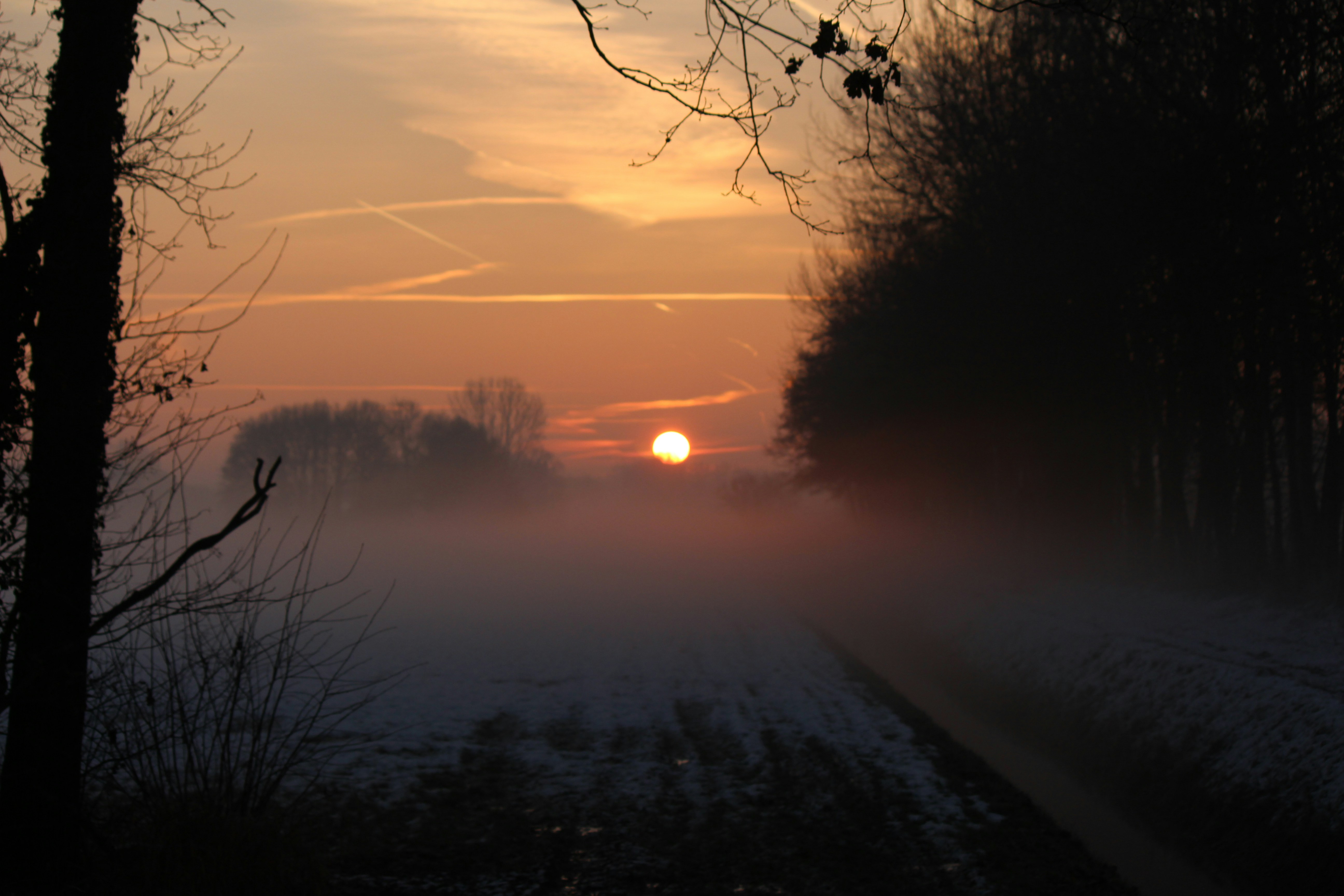 Free Unsplash photo from Koen van Ginkel