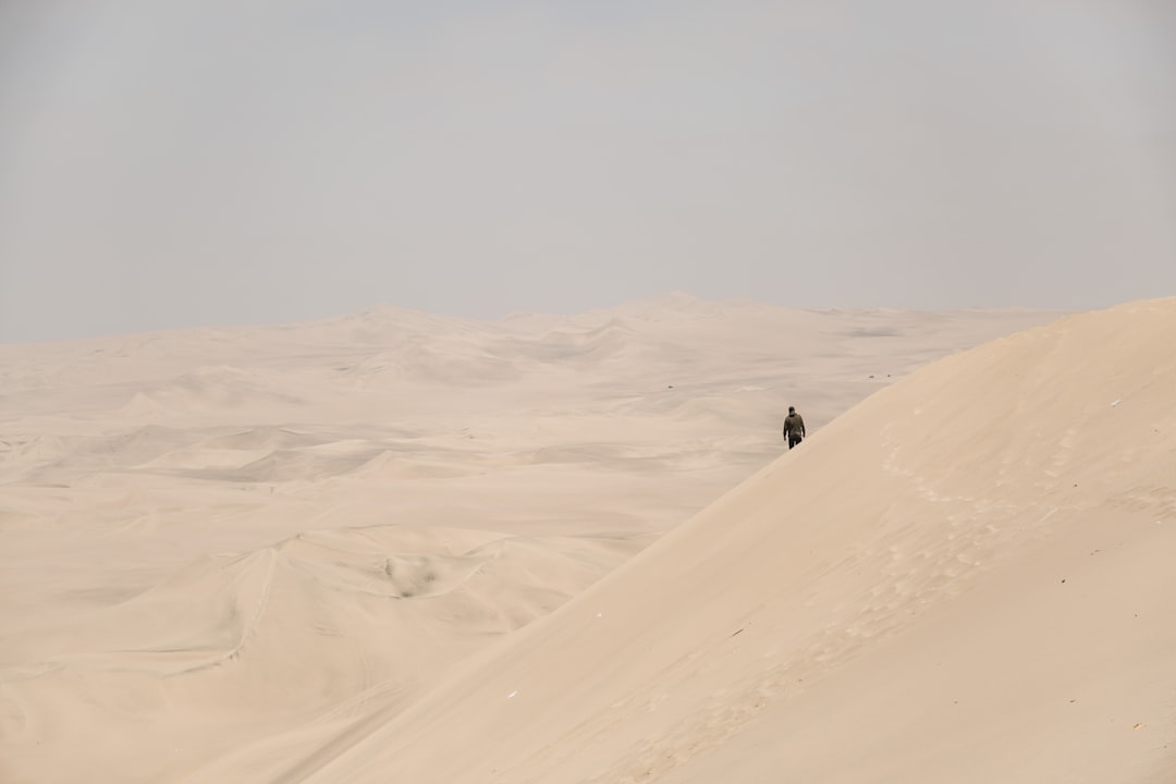 man standing on dessert