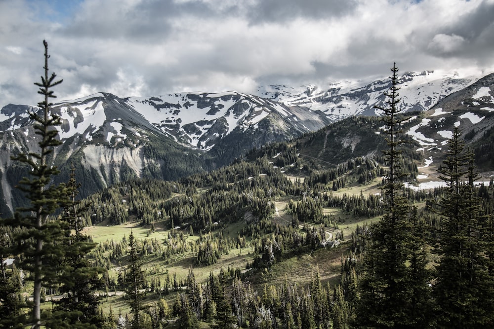 birdseye photo of mountain