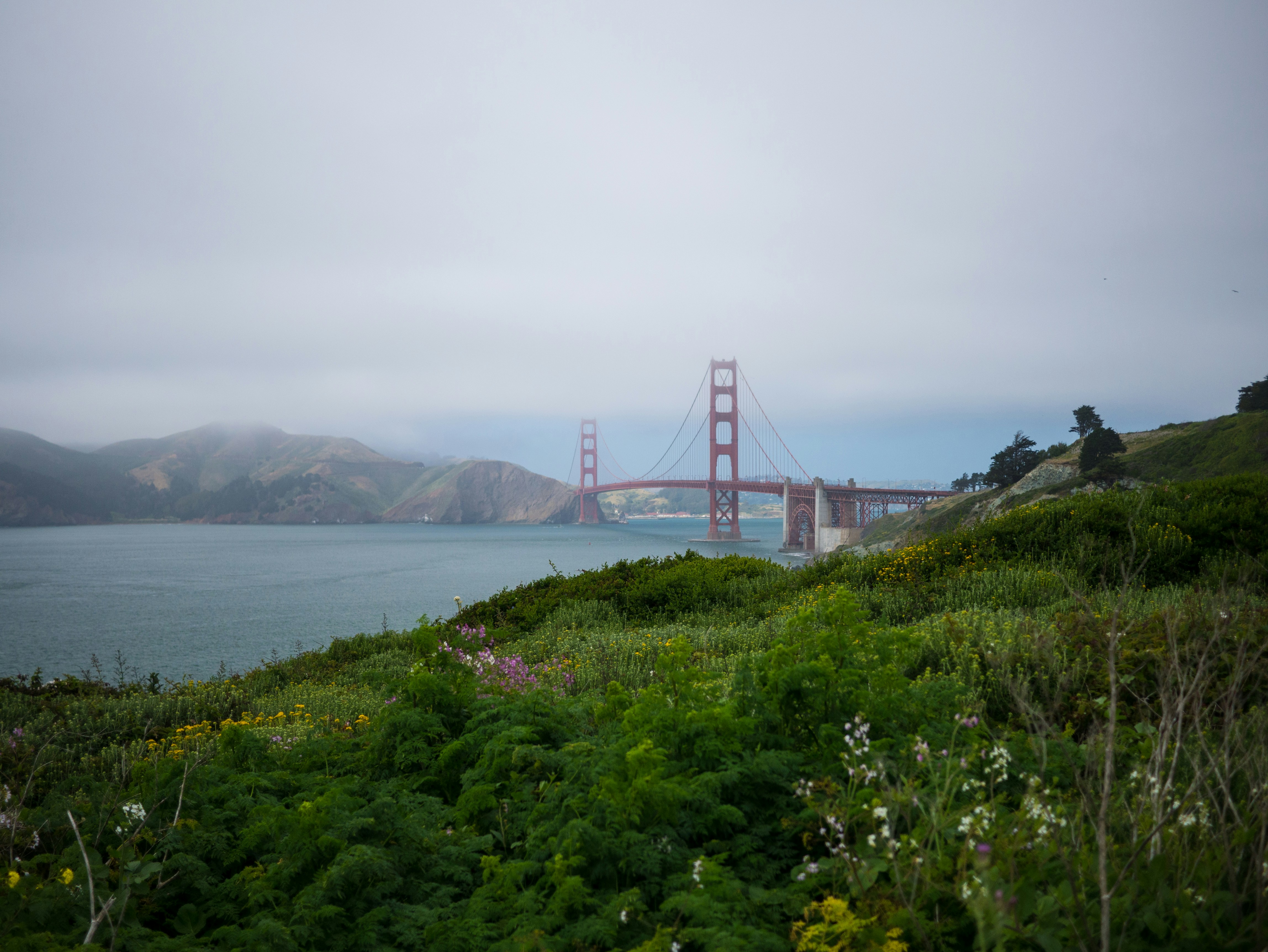 Free Unsplash photo from Siam Choudhury