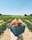 A hand holding a teal carton filled with freshly picked red strawberries in the foreground, set against rows of lush green strawberry plants under a clear blue sky.