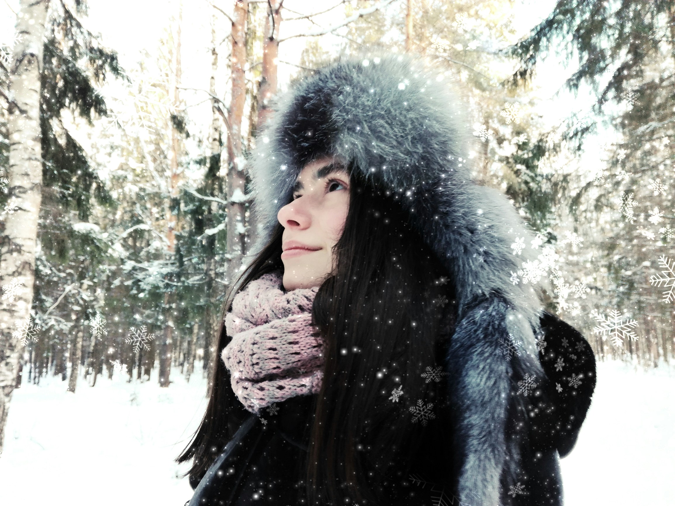 Free Unsplash photo from Kate ...