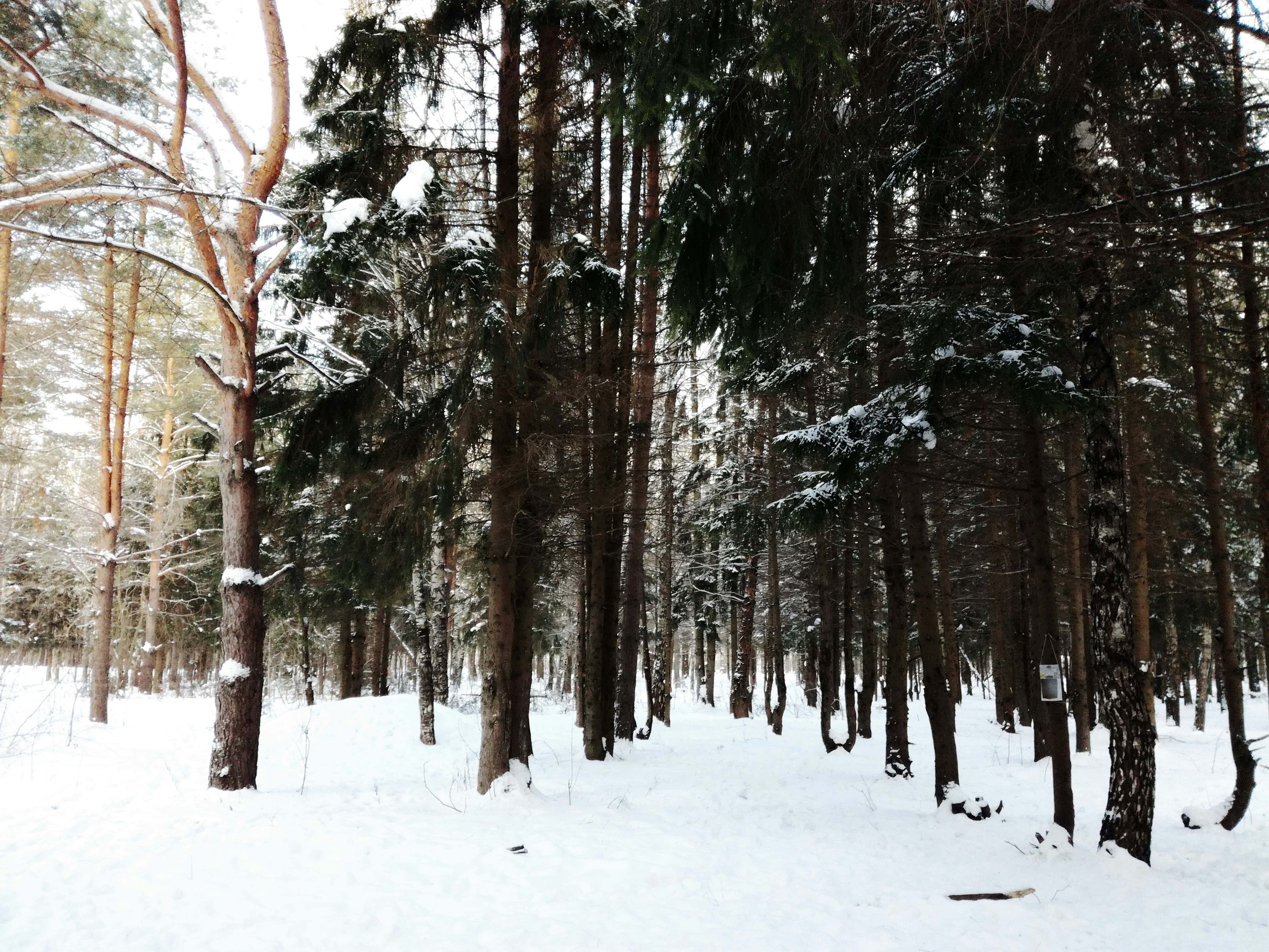 Free Unsplash photo from Kate ...