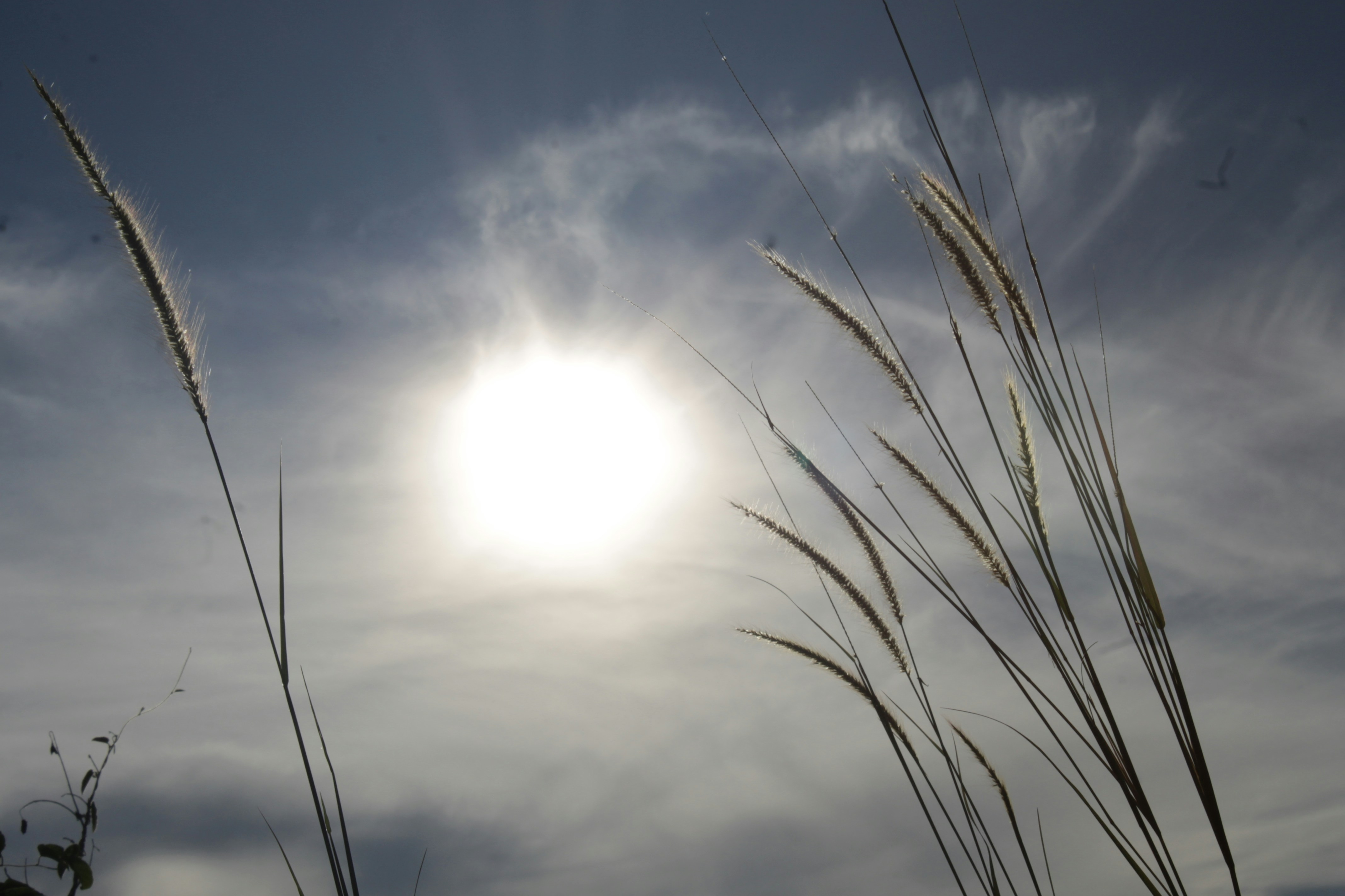 Free Unsplash photo from Reinaldy Valentino