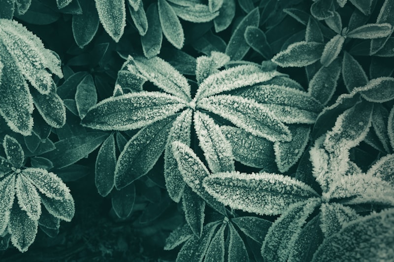 膠原蛋白 好處