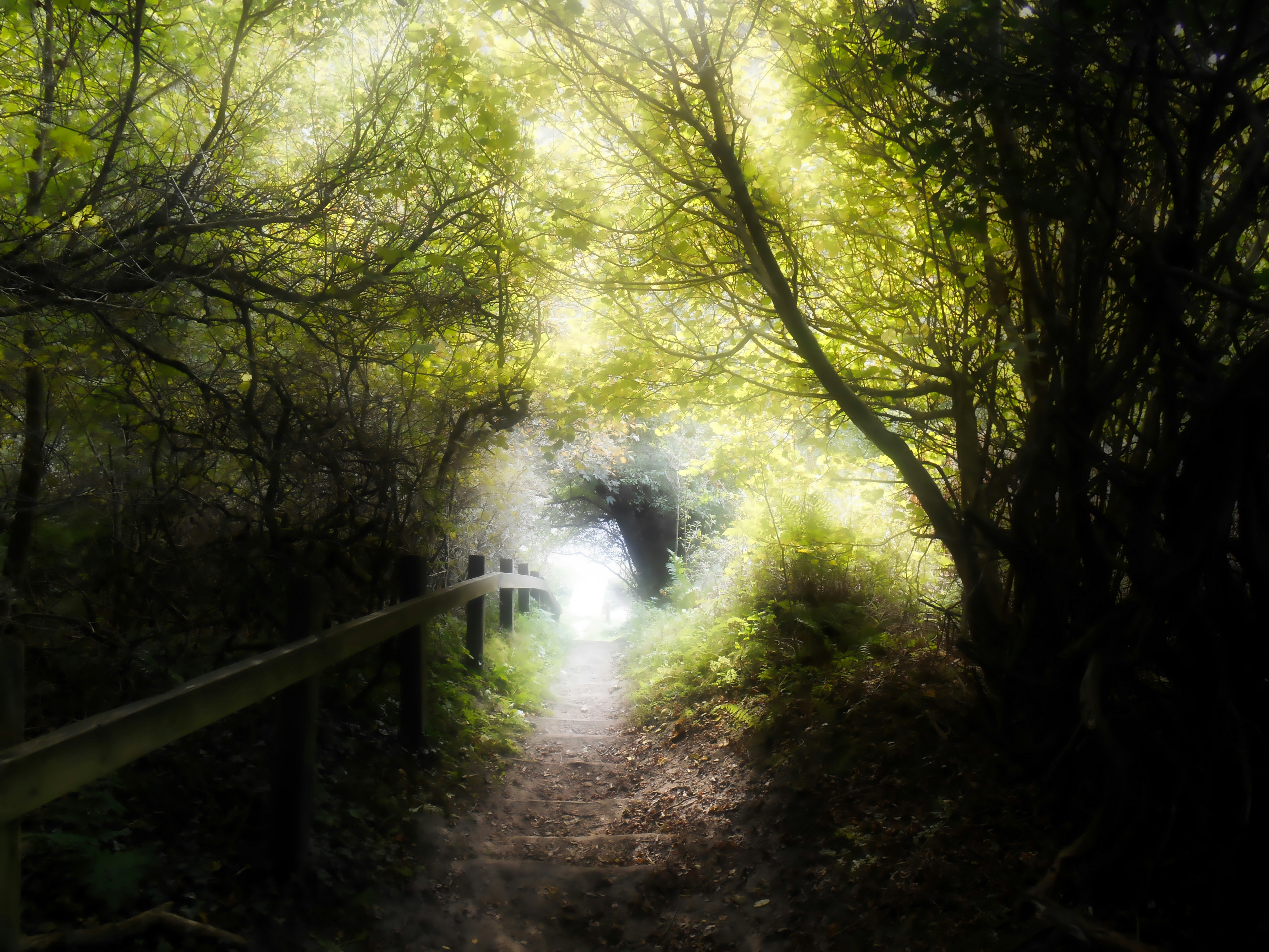 Free Unsplash photo from Fadhil Sadik