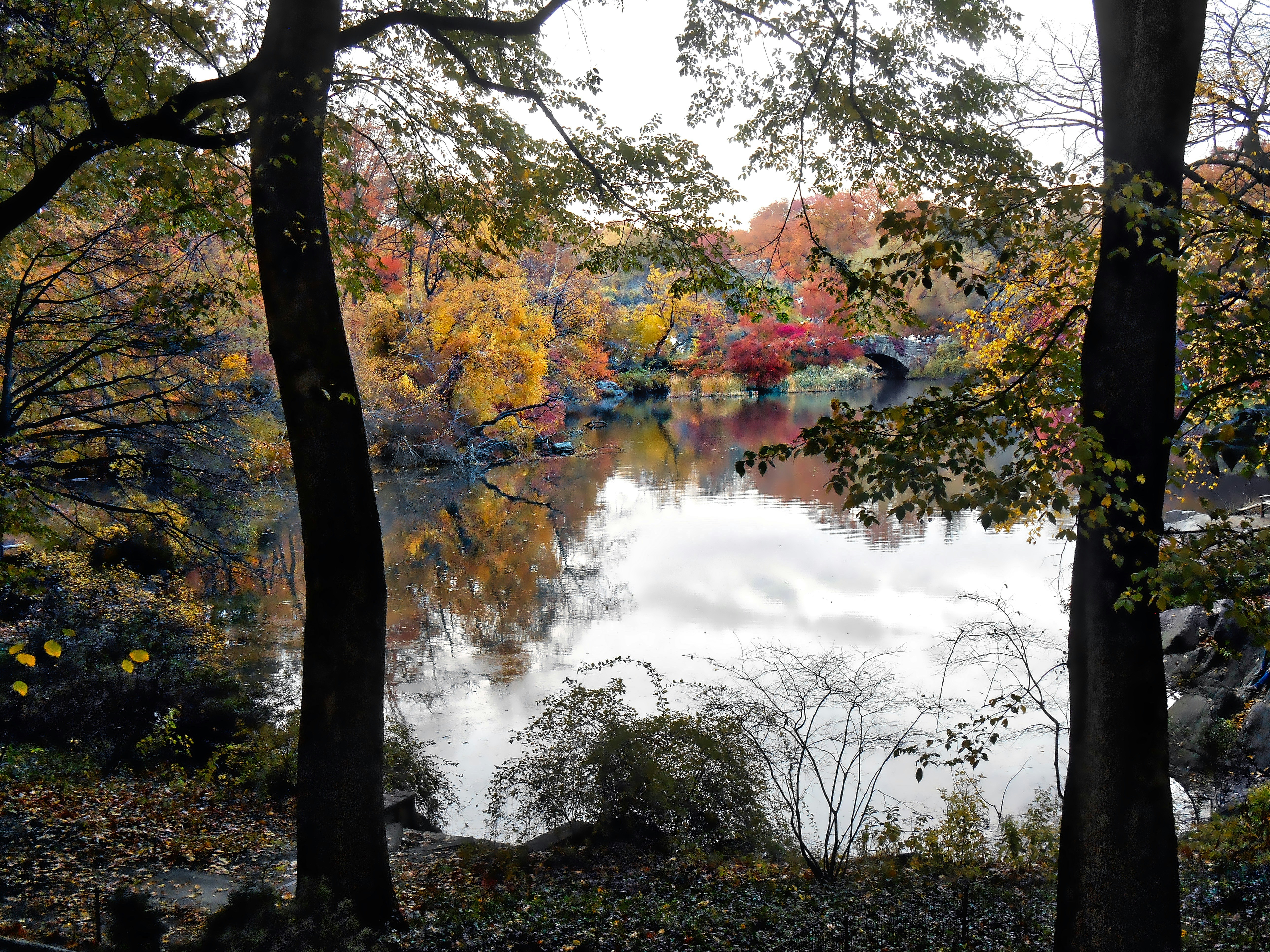 Free Unsplash photo from Fadhil Sadik