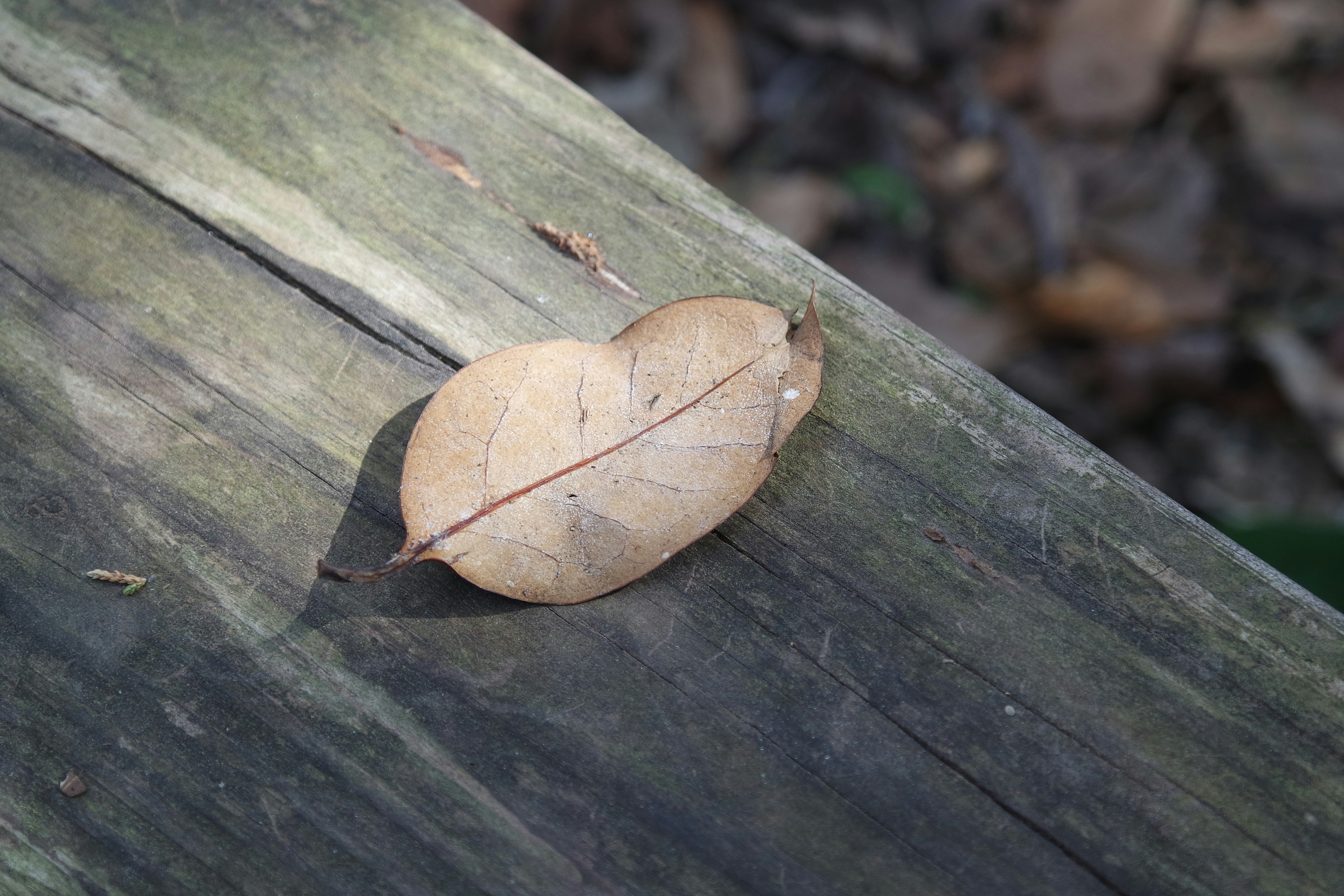 Free Unsplash photo from Michael Lynn