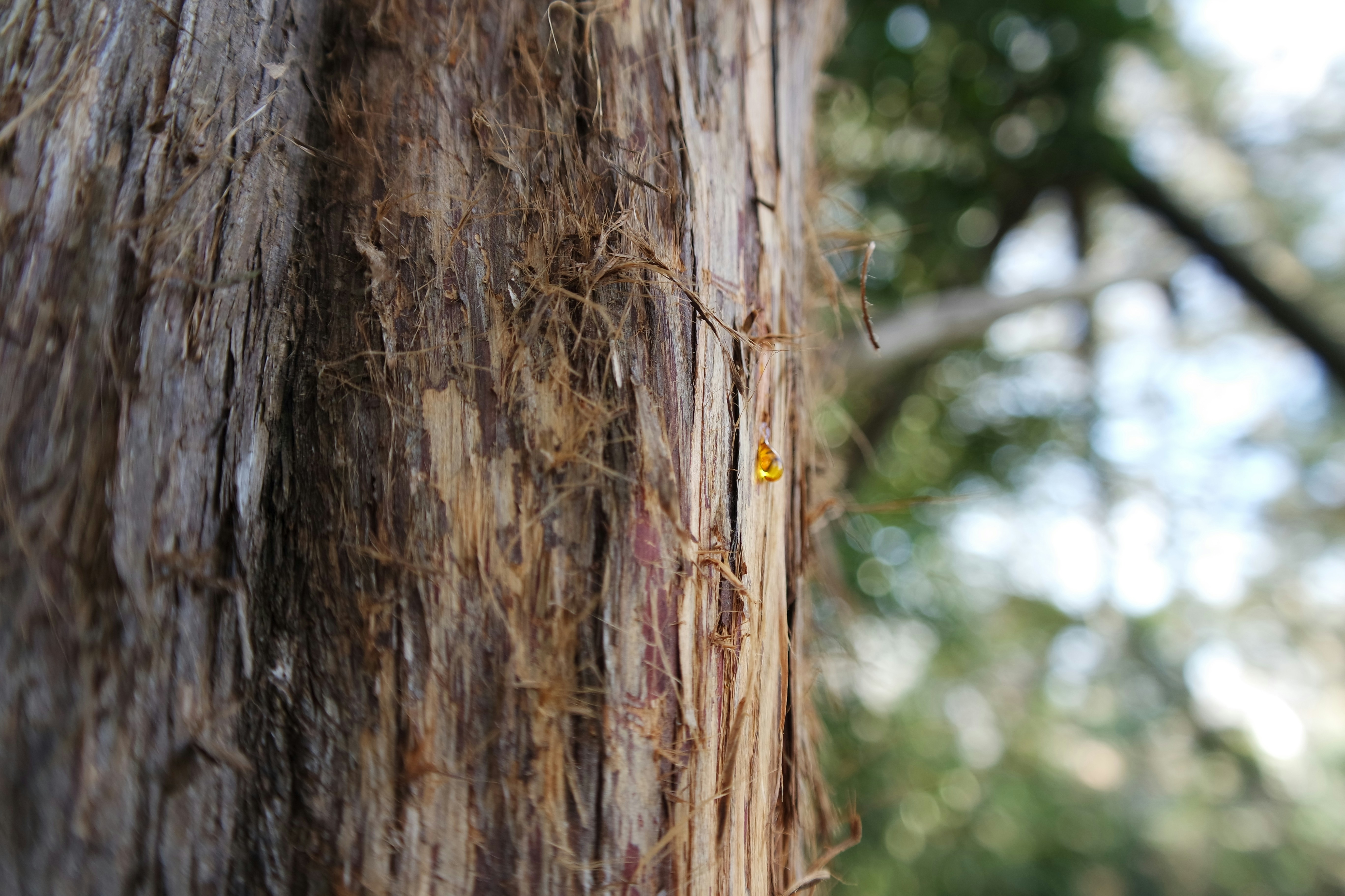 Free Unsplash photo from Michael Lynn