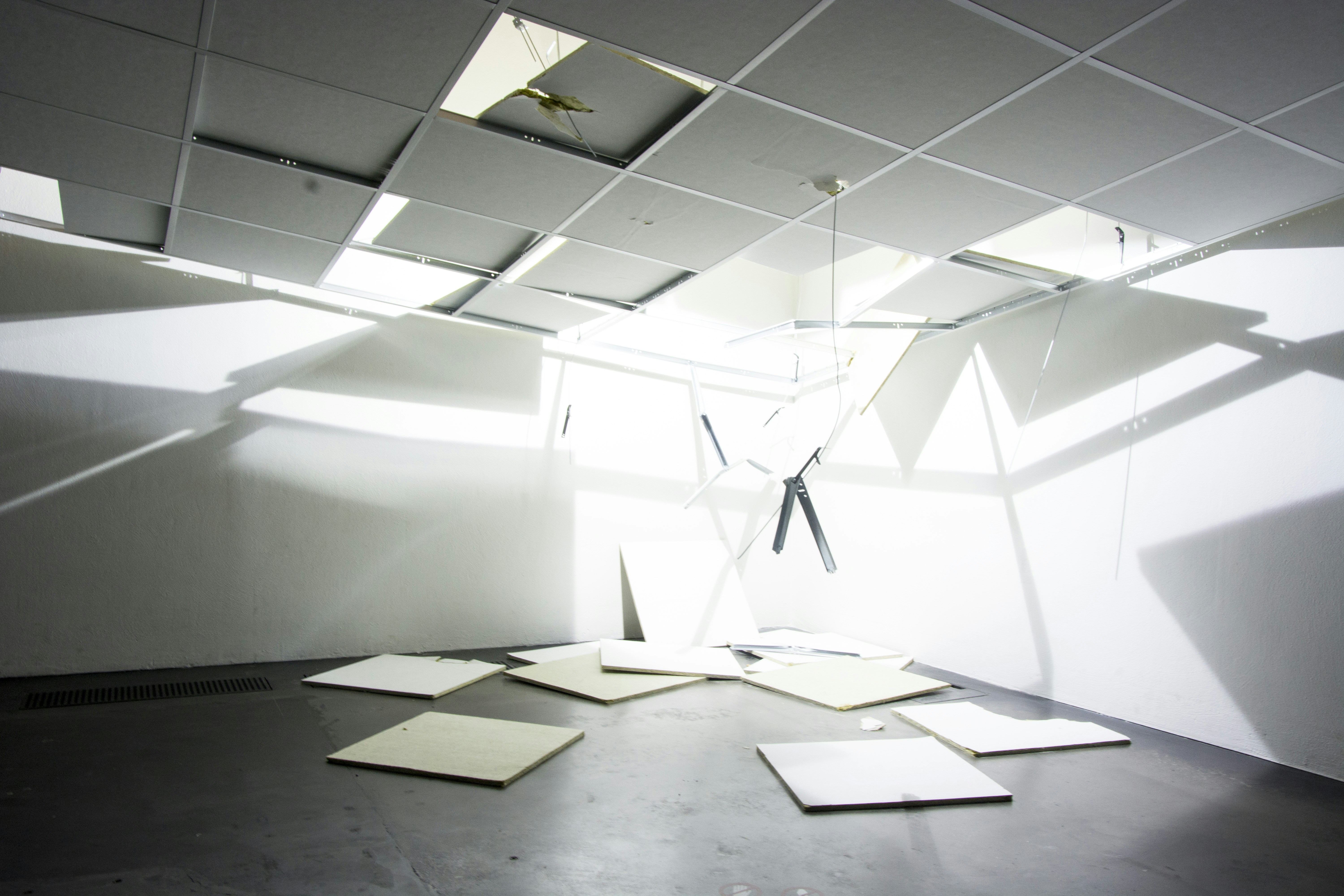 Free Unsplash photo from Jiajing Huang